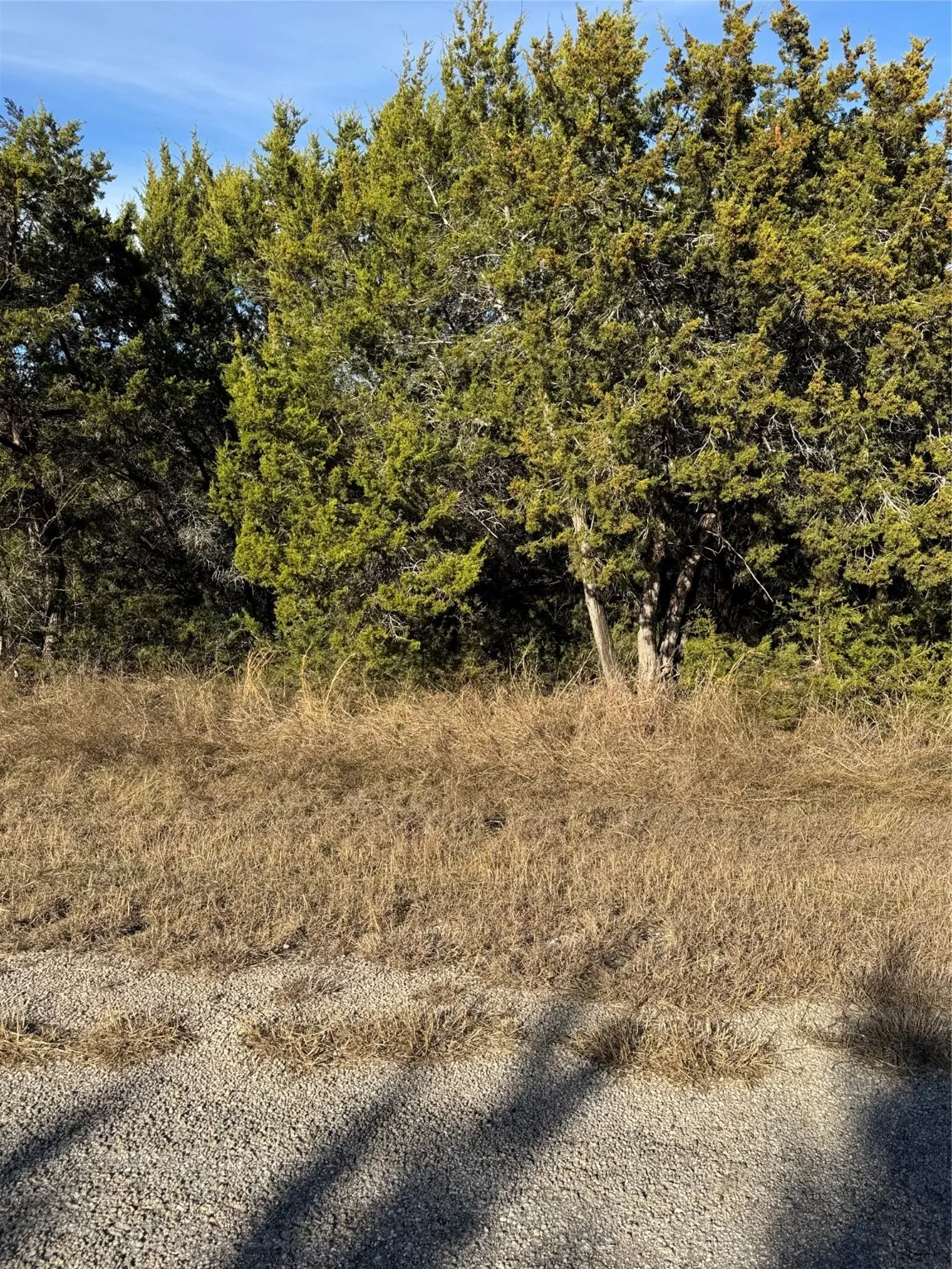 Unimproved Land For Sale in Hill County , 44125 Cedar Hill Drive, Whitney, Texas 76692, 0, 0, Garage spaces, 0 Sqft, built in 0, mls#20816024, Real Estate Agent in Whitney, Homes For Sale in Hill county, Homes For Sale in Whitney, Realtor in Whitney Texas, Real Estate Brokerage Independent Realty Texas, Luminita Cordes Realtor