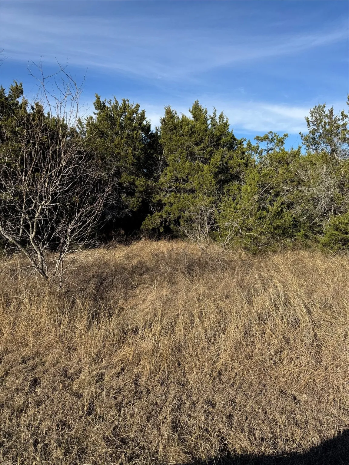 Unimproved Land For Sale in Hill County , 44125 Cedar Hill Drive, Whitney, Texas 76692, 0, 0, Garage spaces, 0 Sqft, built in 0, mls#20816024, Real Estate Agent in Whitney, Homes For Sale in Hill county, Homes For Sale in Whitney, Realtor in Whitney Texas, Real Estate Brokerage Independent Realty Texas, Luminita Cordes Realtor