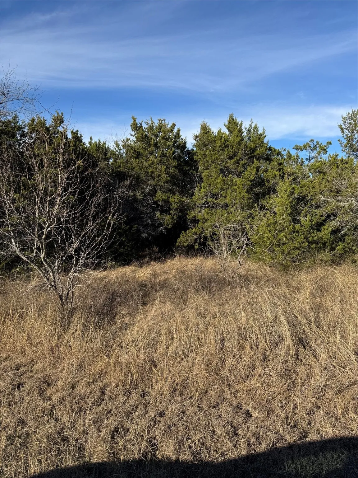 Unimproved Land For Sale in Hill County , 44125 Cedar Hill Drive, Whitney, Texas 76692, 0, 0, Garage spaces, 0 Sqft, built in 0, mls#20816024, Real Estate Agent in Whitney, Homes For Sale in Hill county, Homes For Sale in Whitney, Realtor in Whitney Texas, Real Estate Brokerage Independent Realty Texas, Luminita Cordes Realtor