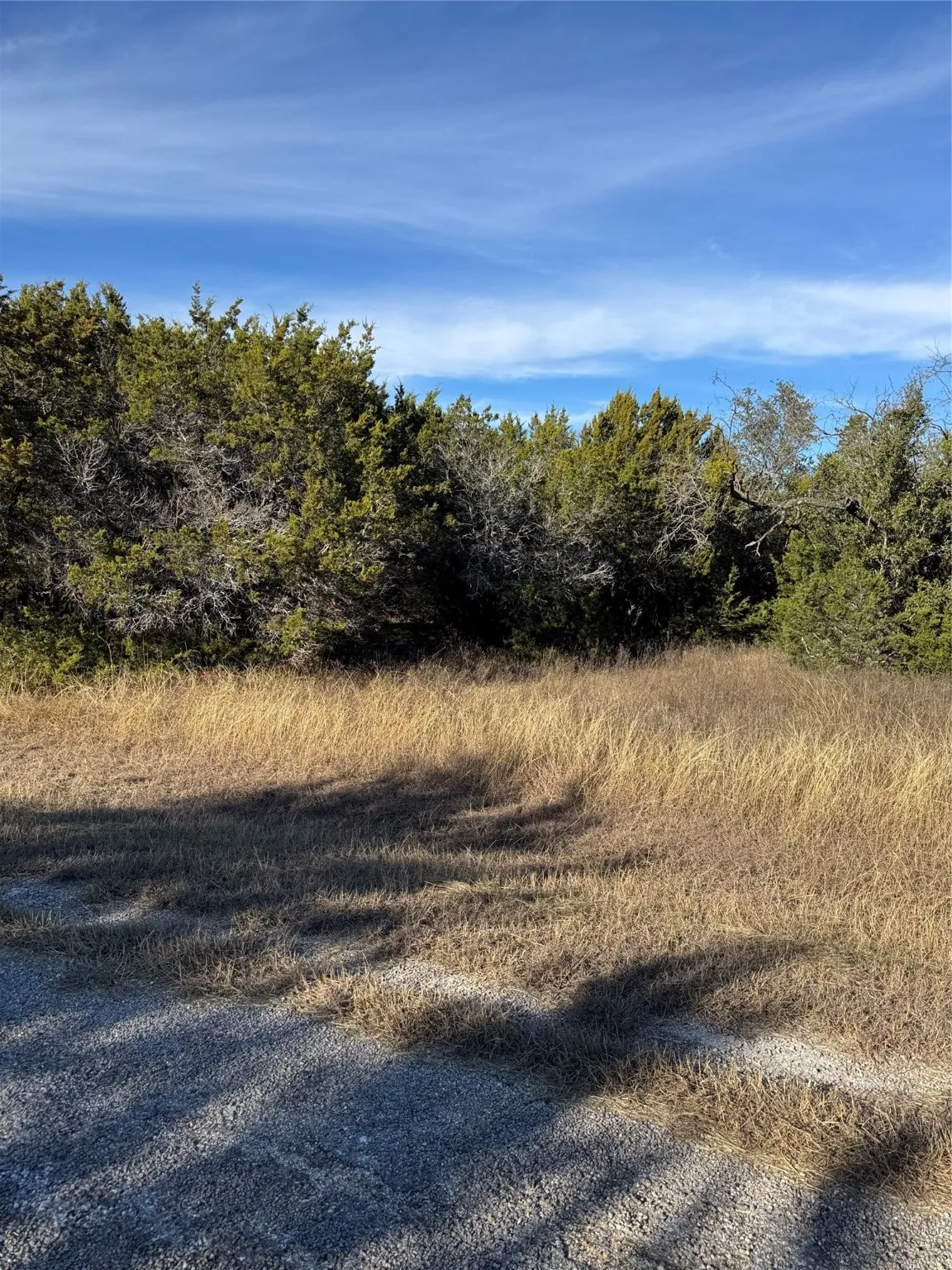 Unimproved Land For Sale in Hill County , 44125 Cedar Hill Drive, Whitney, Texas 76692, 0, 0, Garage spaces, 0 Sqft, built in 0, mls#20816024, Real Estate Agent in Whitney, Homes For Sale in Hill county, Homes For Sale in Whitney, Realtor in Whitney Texas, Real Estate Brokerage Independent Realty Texas, Luminita Cordes Realtor