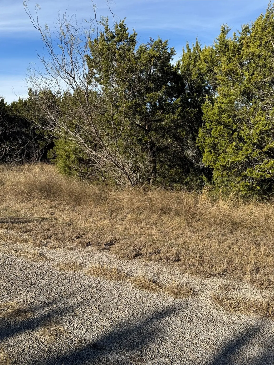 Unimproved Land For Sale in Hill County , 44125 Cedar Hill Drive, Whitney, Texas 76692, 0, 0, Garage spaces, 0 Sqft, built in 0, mls#20816024, Real Estate Agent in Whitney, Homes For Sale in Hill county, Homes For Sale in Whitney, Realtor in Whitney Texas, Real Estate Brokerage Independent Realty Texas, Luminita Cordes Realtor