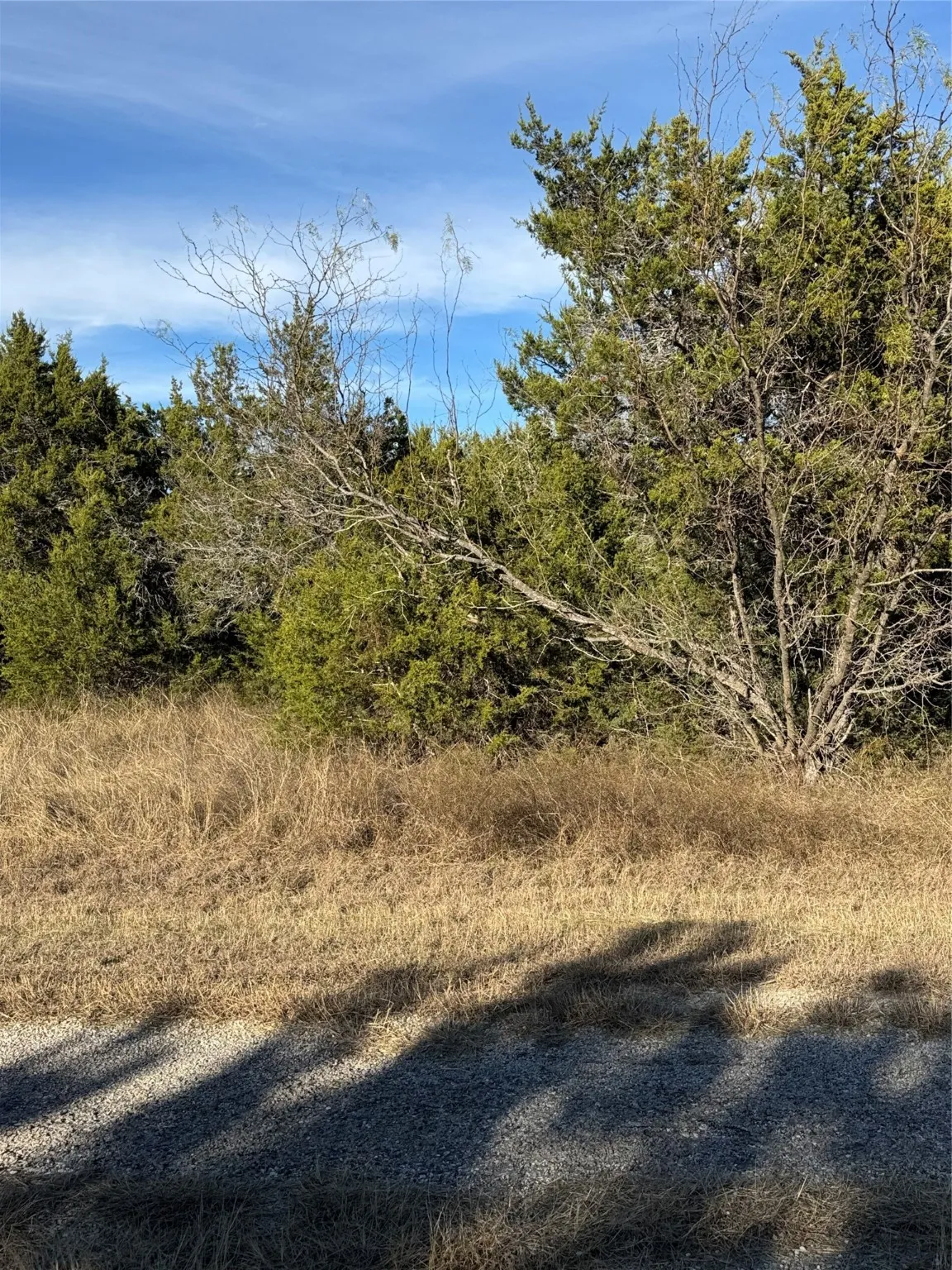 Unimproved Land For Sale in Hill County , 44125 Cedar Hill Drive, Whitney, Texas 76692, 0, 0, Garage spaces, 0 Sqft, built in 0, mls#20816024, Real Estate Agent in Whitney, Homes For Sale in Hill county, Homes For Sale in Whitney, Realtor in Whitney Texas, Real Estate Brokerage Independent Realty Texas, Luminita Cordes Realtor