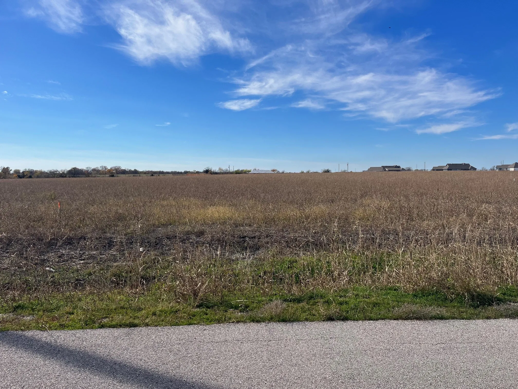 View of nature featuring a rural view