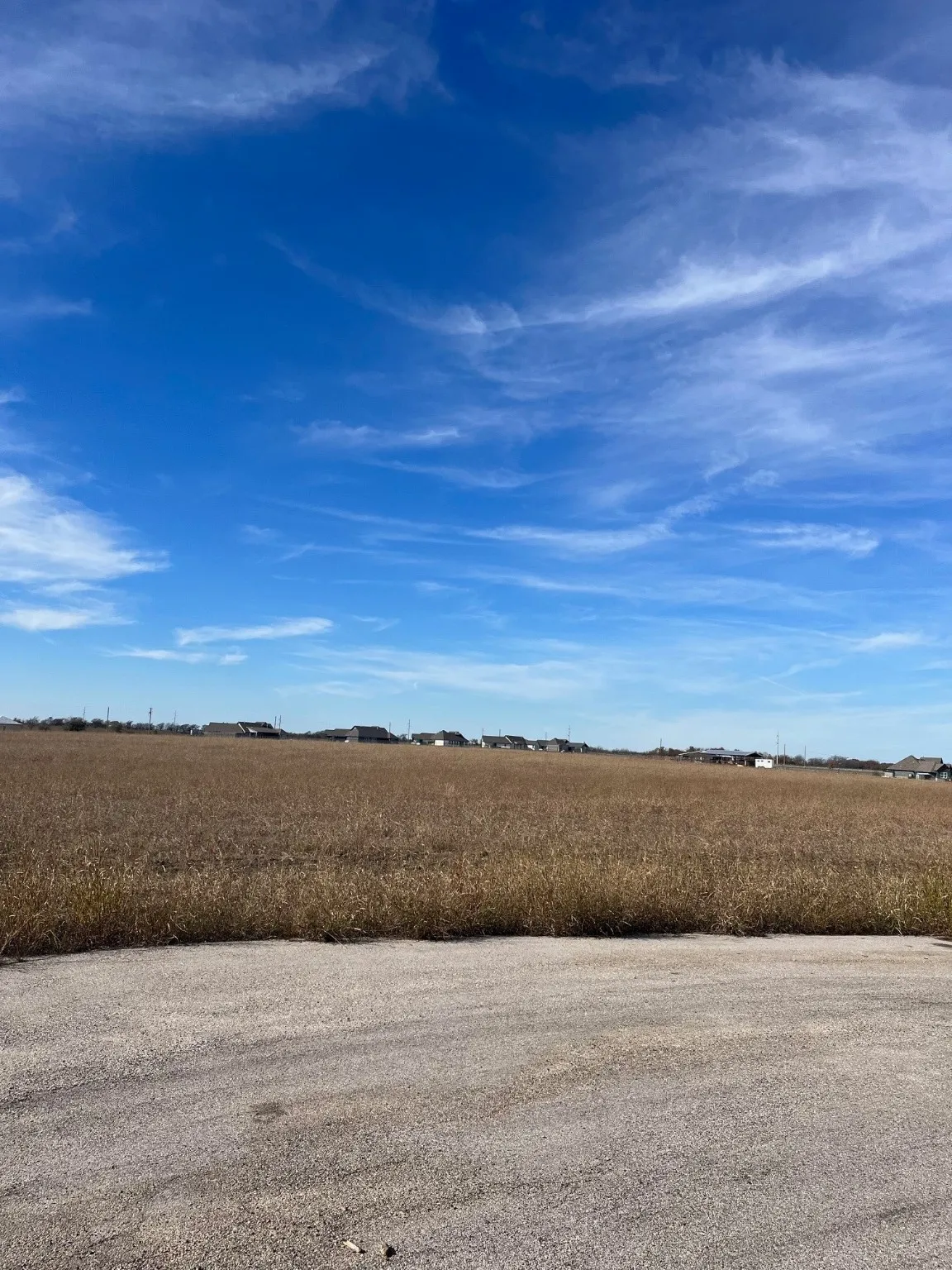 View of yard with a rural view