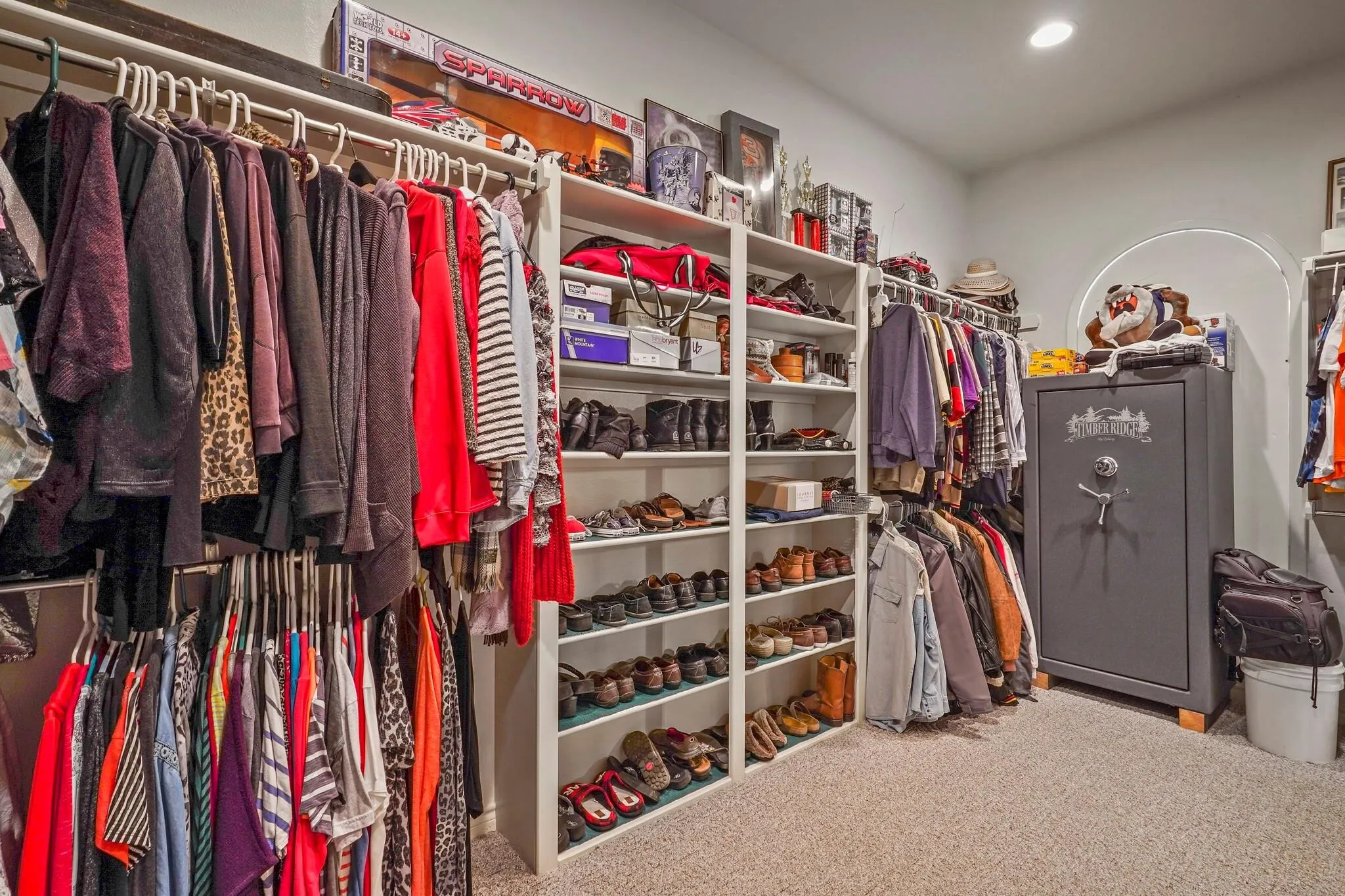 Spacious closet featuring carpet floors