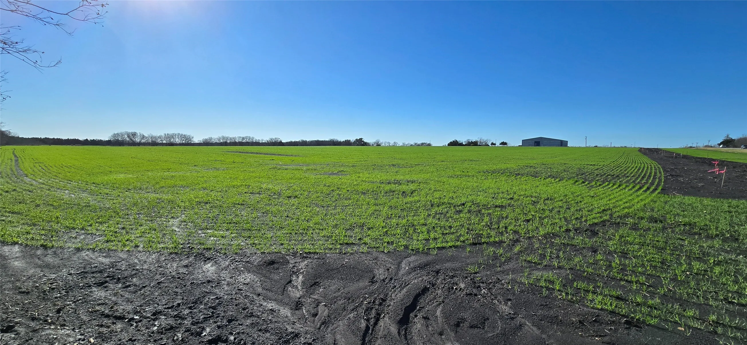 Unimproved Land For Sale in Kaufman County , 197 Acres FM RD 548, Forney, Texas 75126, 0, 0, Garage spaces, 0 Sqft, built in 0, Price $21,538,736, mls#20819355, Real Estate Agent in Forney, Homes For Sale in Kaufman county, Homes For Sale in Forney, Realtor in Forney Texas, Real Estate Brokerage Independent Realty Texas, Luminita Cordes Realtor