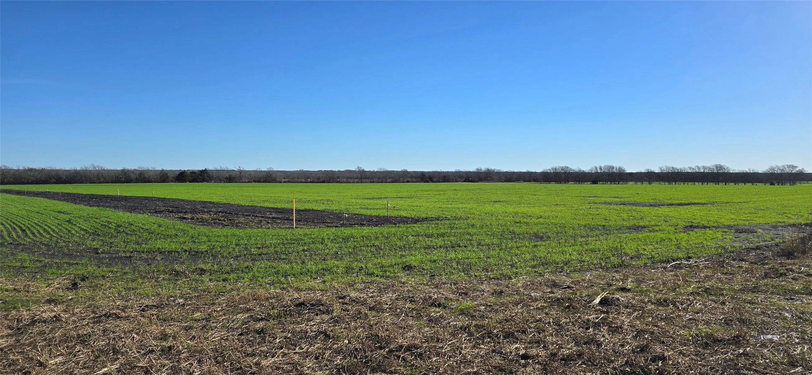 Unimproved Land For Sale in Kaufman County , 197 Acres FM RD 548, Forney, Texas 75126, 0, 0, Garage spaces, 0 Sqft, built in 0, Price $21,538,736, mls#20819355, Real Estate Agent in Forney, Homes For Sale in Kaufman county, Homes For Sale in Forney, Realtor in Forney Texas, Real Estate Brokerage Independent Realty Texas, Luminita Cordes Realtor