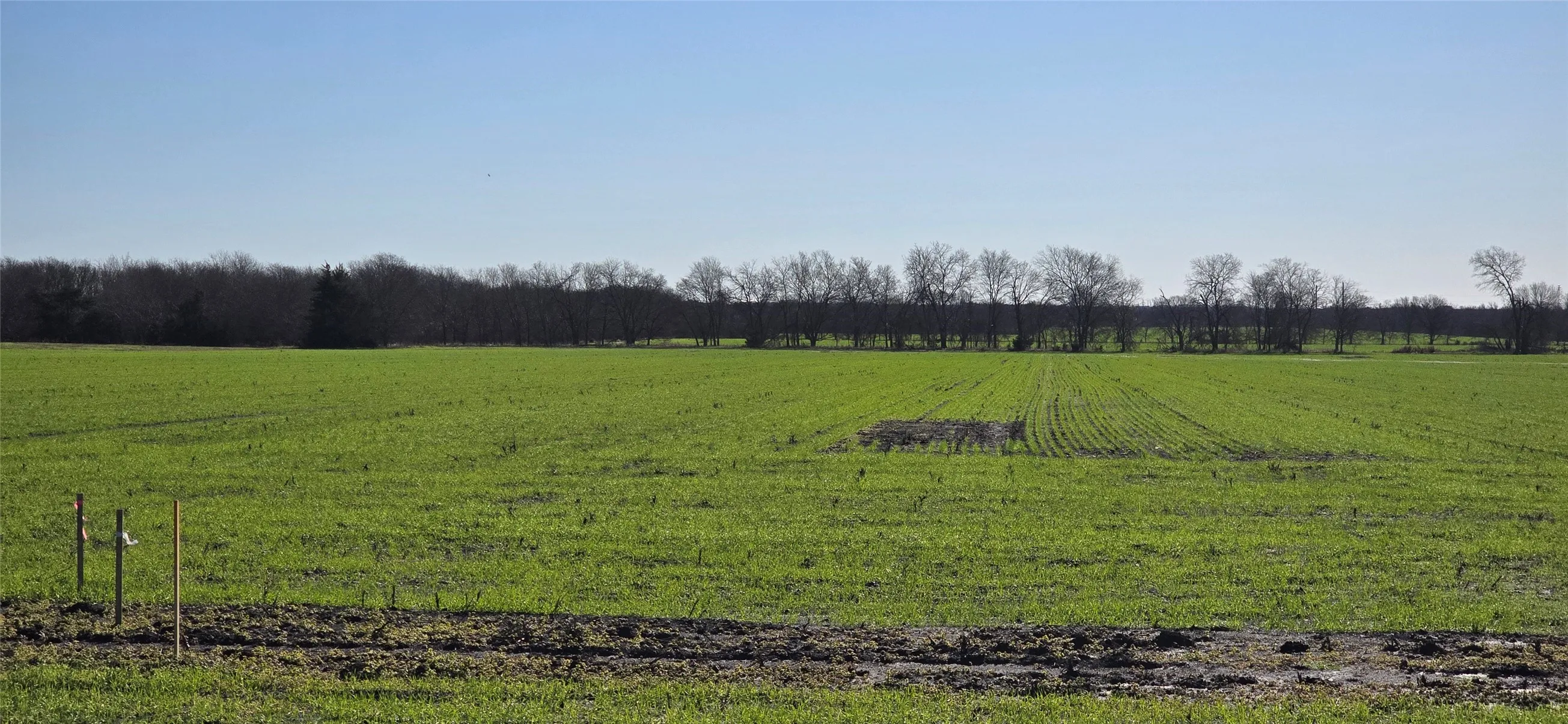 Unimproved Land For Sale in Kaufman County , 197 Acres FM RD 548, Forney, Texas 75126, 0, 0, Garage spaces, 0 Sqft, built in 0, Price $21,538,736, mls#20819355, Real Estate Agent in Forney, Homes For Sale in Kaufman county, Homes For Sale in Forney, Realtor in Forney Texas, Real Estate Brokerage Independent Realty Texas, Luminita Cordes Realtor