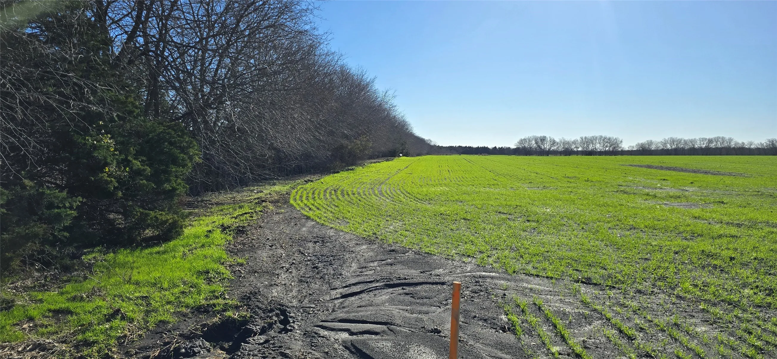 Unimproved Land For Sale in Kaufman County , 197 Acres FM RD 548, Forney, Texas 75126, 0, 0, Garage spaces, 0 Sqft, built in 0, Price $21,538,736, mls#20819355, Real Estate Agent in Forney, Homes For Sale in Kaufman county, Homes For Sale in Forney, Realtor in Forney Texas, Real Estate Brokerage Independent Realty Texas, Luminita Cordes Realtor