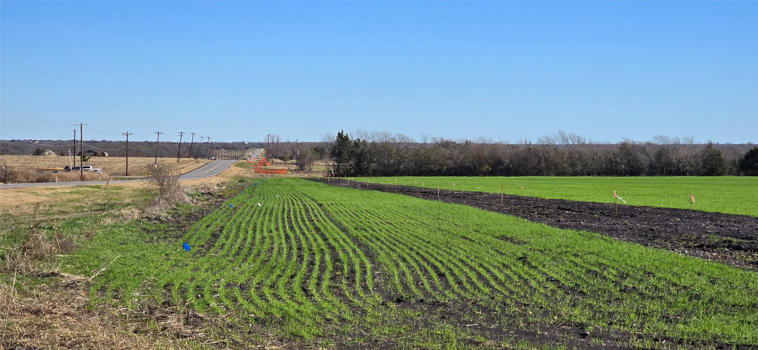 Unimproved Land For Sale in Kaufman County , 197 Acres FM RD 548, Forney, Texas 75126, 0, 0, Garage spaces, 0 Sqft, built in 0, Price $21,538,736, mls#20819355, Real Estate Agent in Forney, Homes For Sale in Kaufman county, Homes For Sale in Forney, Realtor in Forney Texas, Real Estate Brokerage Independent Realty Texas, Luminita Cordes Realtor