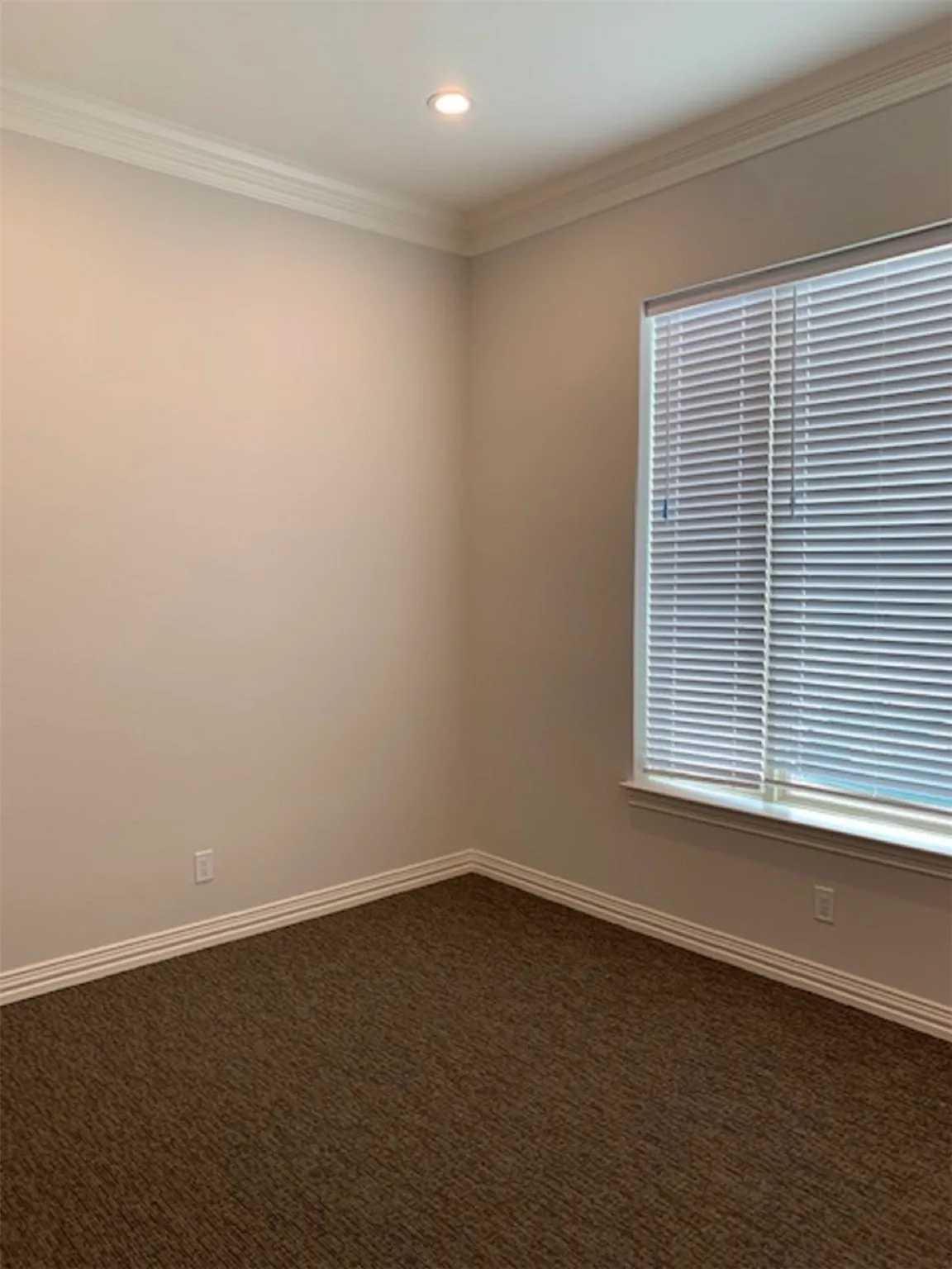 Carpeted spare room with crown molding