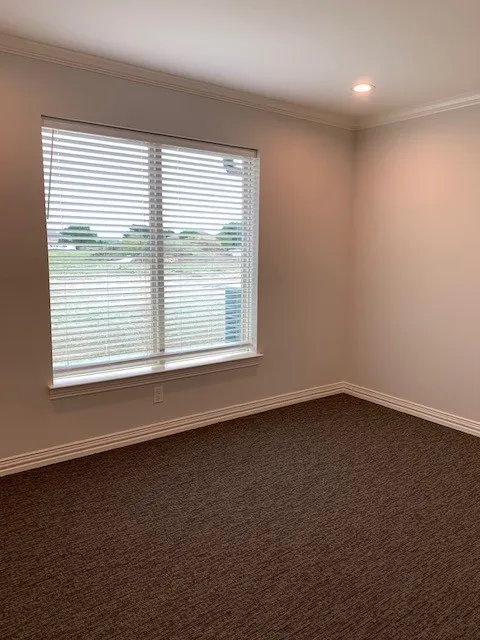 Carpeted empty room with ornamental molding and a healthy amount of sunlight
