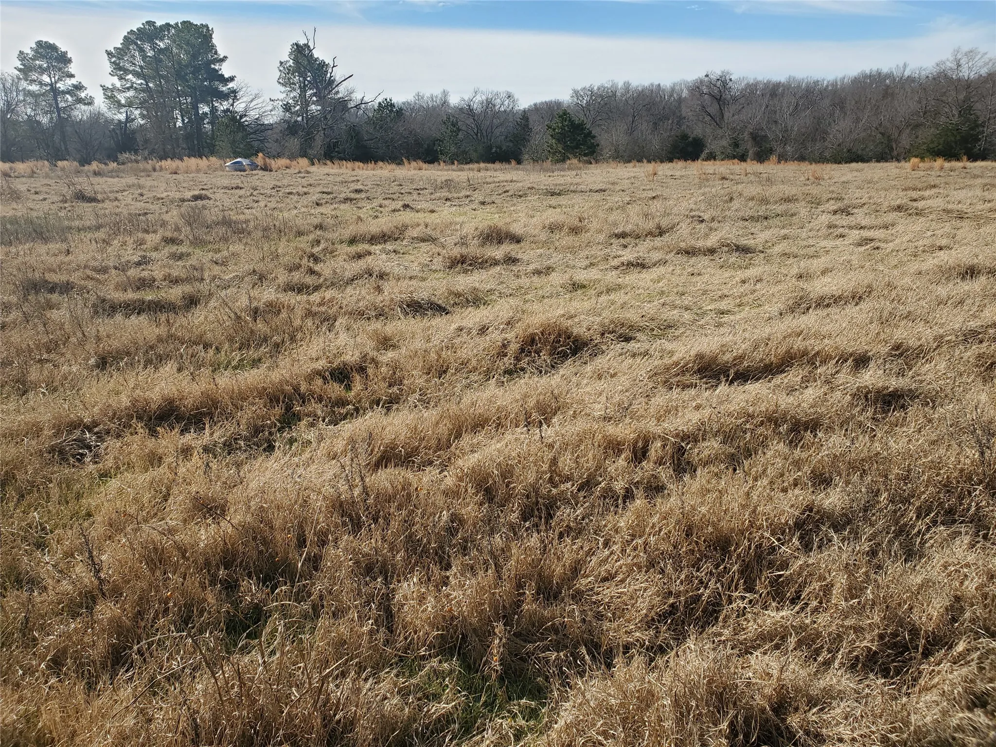 Unimproved Land For Sale in Rains County , LOT 8 RS County Road 1140, Emory, Texas 75440, 0, 0, Garage spaces, 0 Sqft, built in 0, mls#20820678, Real Estate Agent in Emory, Homes For Sale in Rains county, Homes For Sale in Emory, Realtor in Emory Texas, Real Estate Brokerage Independent Realty Texas, Luminita Cordes Realtor