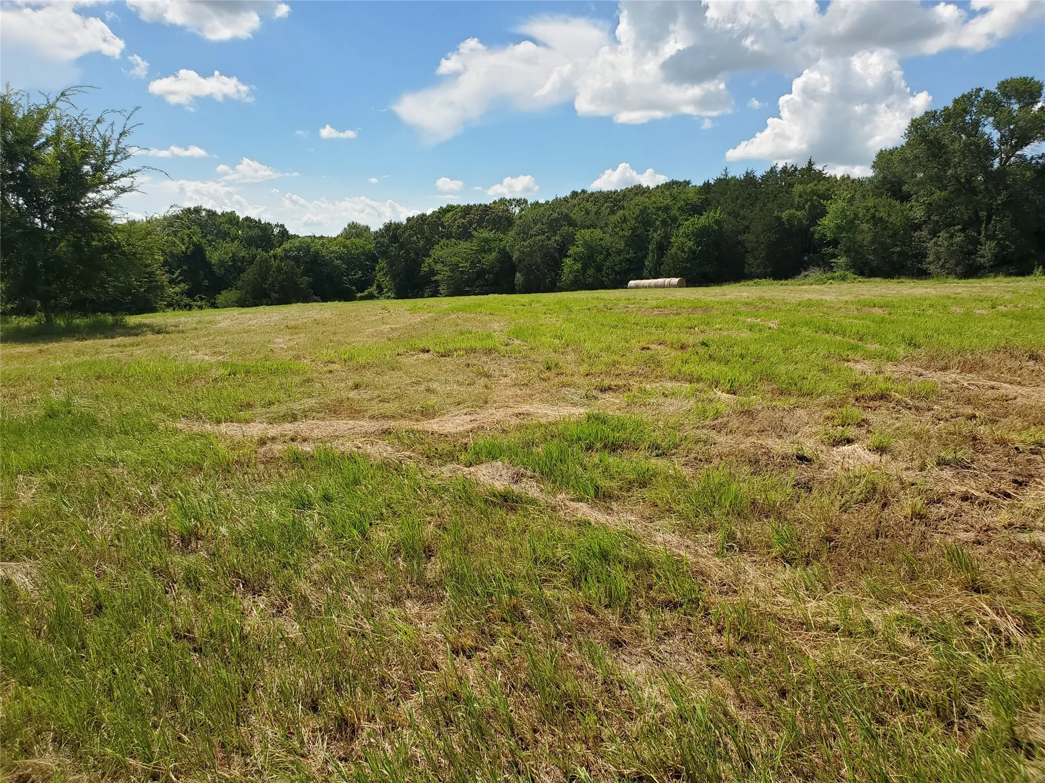 Unimproved Land For Sale in Rains County , LOT 8 RS County Road 1140, Emory, Texas 75440, 0, 0, Garage spaces, 0 Sqft, built in 0, mls#20820678, Real Estate Agent in Emory, Homes For Sale in Rains county, Homes For Sale in Emory, Realtor in Emory Texas, Real Estate Brokerage Independent Realty Texas, Luminita Cordes Realtor