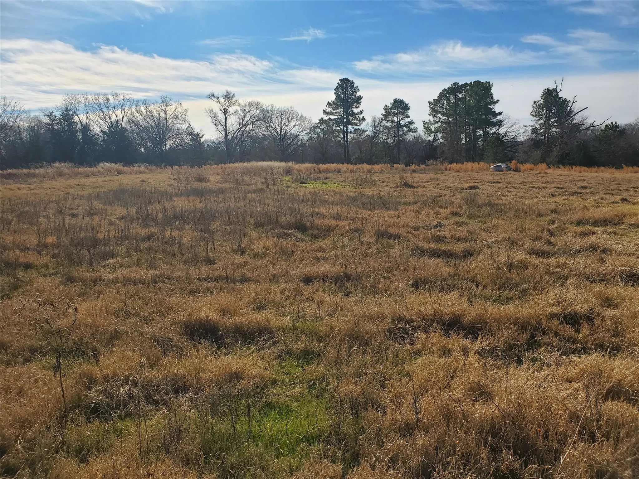 Unimproved Land For Sale in Rains County , LOT 8 RS County Road 1140, Emory, Texas 75440, 0, 0, Garage spaces, 0 Sqft, built in 0, mls#20820678, Real Estate Agent in Emory, Homes For Sale in Rains county, Homes For Sale in Emory, Realtor in Emory Texas, Real Estate Brokerage Independent Realty Texas, Luminita Cordes Realtor