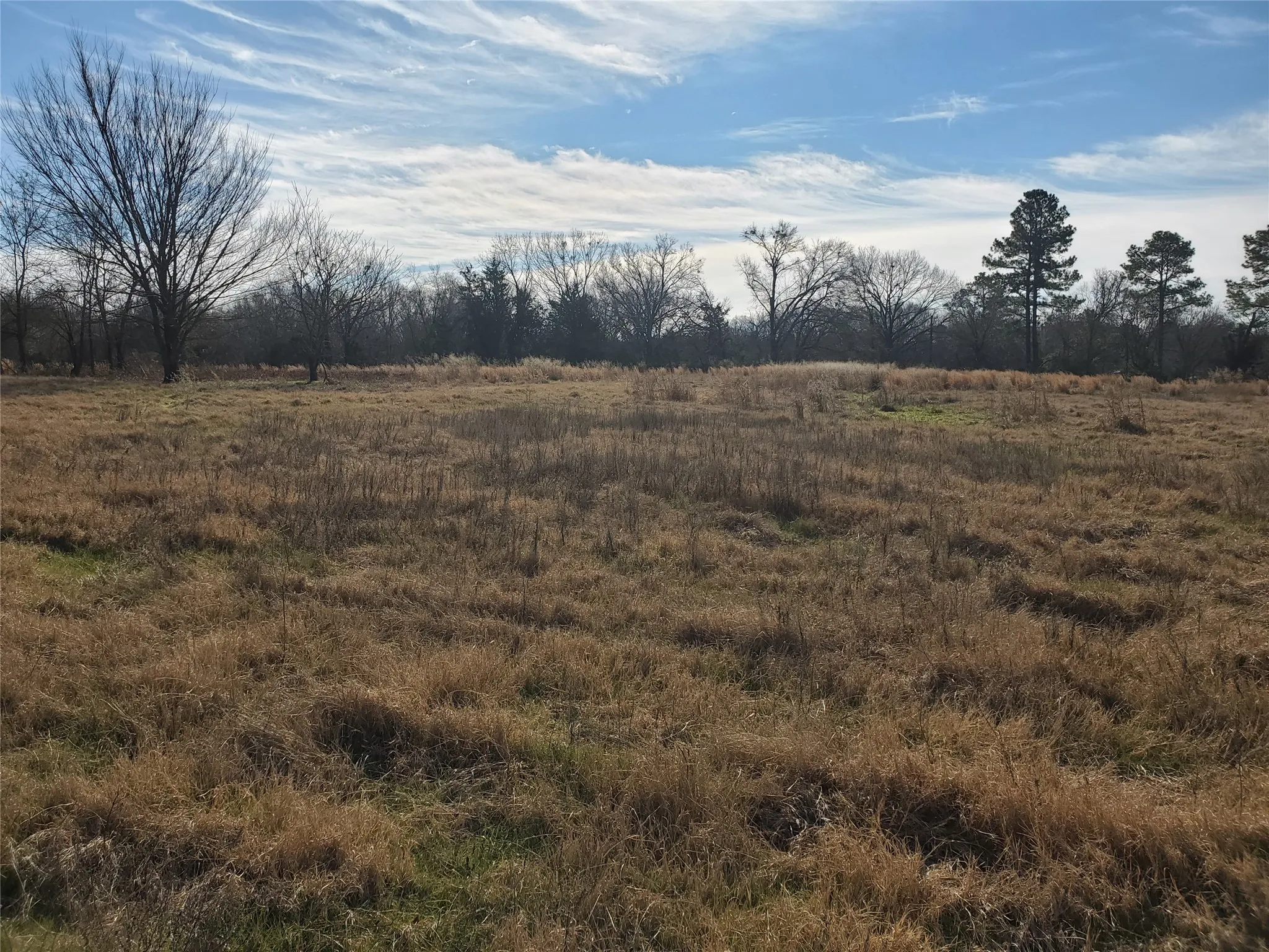 Unimproved Land For Sale in Rains County , LOT 8 RS County Road 1140, Emory, Texas 75440, 0, 0, Garage spaces, 0 Sqft, built in 0, mls#20820678, Real Estate Agent in Emory, Homes For Sale in Rains county, Homes For Sale in Emory, Realtor in Emory Texas, Real Estate Brokerage Independent Realty Texas, Luminita Cordes Realtor