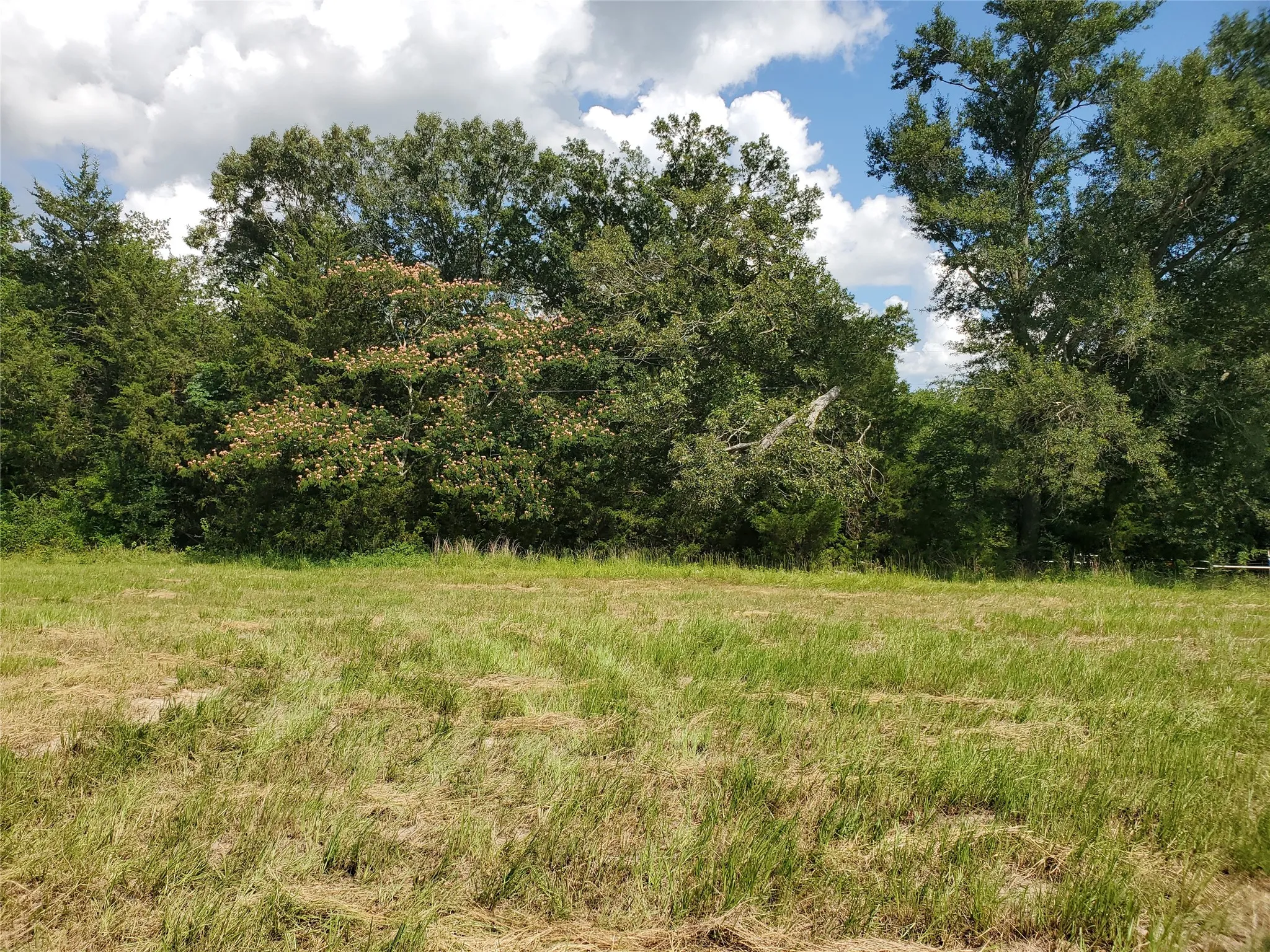 Unimproved Land For Sale in Rains County , LOT 8 RS County Road 1140, Emory, Texas 75440, 0, 0, Garage spaces, 0 Sqft, built in 0, mls#20820678, Real Estate Agent in Emory, Homes For Sale in Rains county, Homes For Sale in Emory, Realtor in Emory Texas, Real Estate Brokerage Independent Realty Texas, Luminita Cordes Realtor