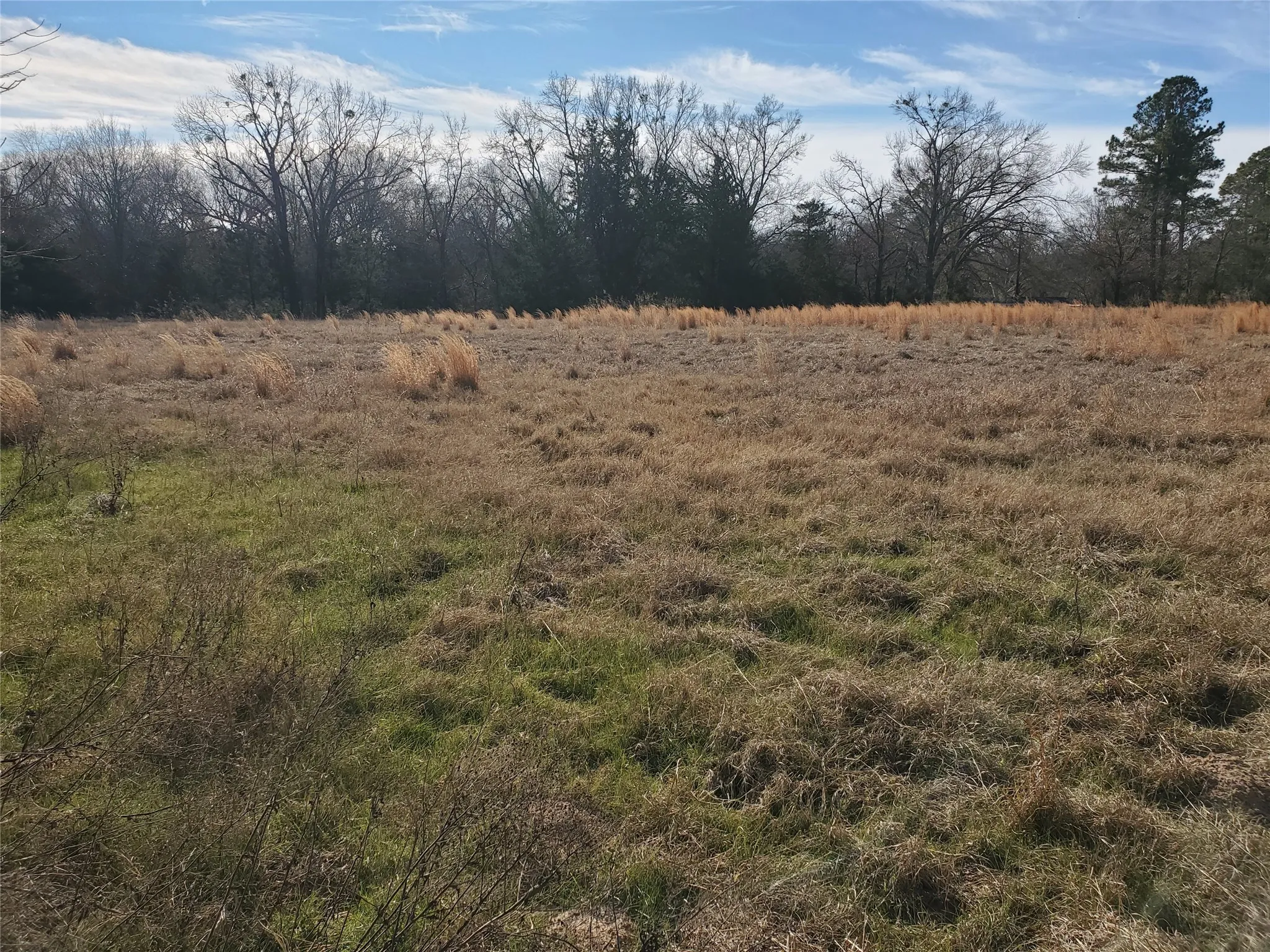Unimproved Land For Sale in Rains County , LOT 8 RS County Road 1140, Emory, Texas 75440, 0, 0, Garage spaces, 0 Sqft, built in 0, mls#20820678, Real Estate Agent in Emory, Homes For Sale in Rains county, Homes For Sale in Emory, Realtor in Emory Texas, Real Estate Brokerage Independent Realty Texas, Luminita Cordes Realtor