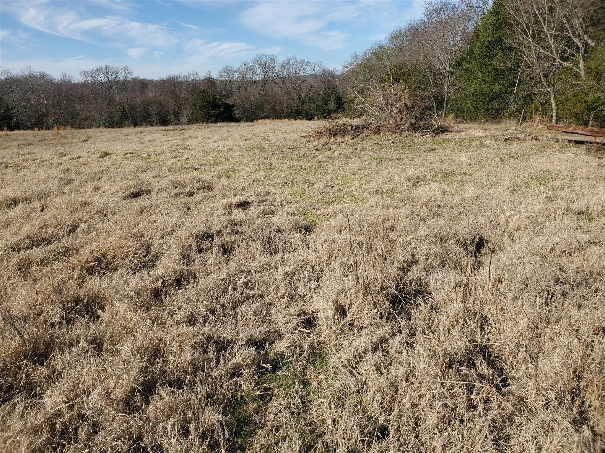 Unimproved Land For Sale in Rains County , LOT 8 RS County Road 1140, Emory, Texas 75440, 0, 0, Garage spaces, 0 Sqft, built in 0, mls#20820678, Real Estate Agent in Emory, Homes For Sale in Rains county, Homes For Sale in Emory, Realtor in Emory Texas, Real Estate Brokerage Independent Realty Texas, Luminita Cordes Realtor