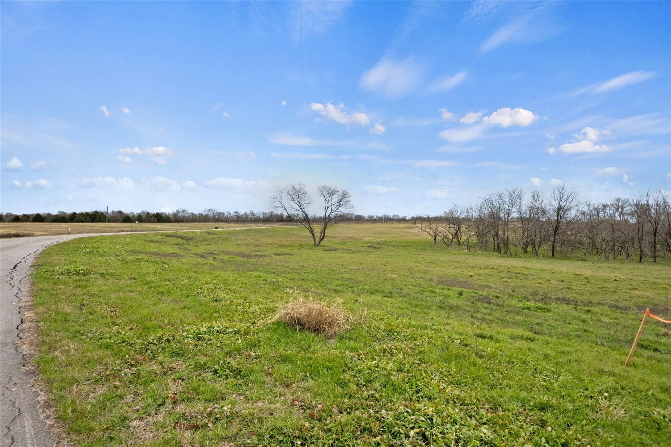 Unimproved Land For Sale in Navarro County , Lt 70 Cedar Brook Lane, Kerens, Texas 75144, 0, 0, Garage spaces, 0 Sqft, built in 0, Price $92,000, mls#20819637, Real Estate Agent in Kerens, Homes For Sale in Navarro county, Homes For Sale in Kerens, Realtor in Kerens Texas, Real Estate Brokerage Independent Realty Texas, Luminita Cordes Realtor