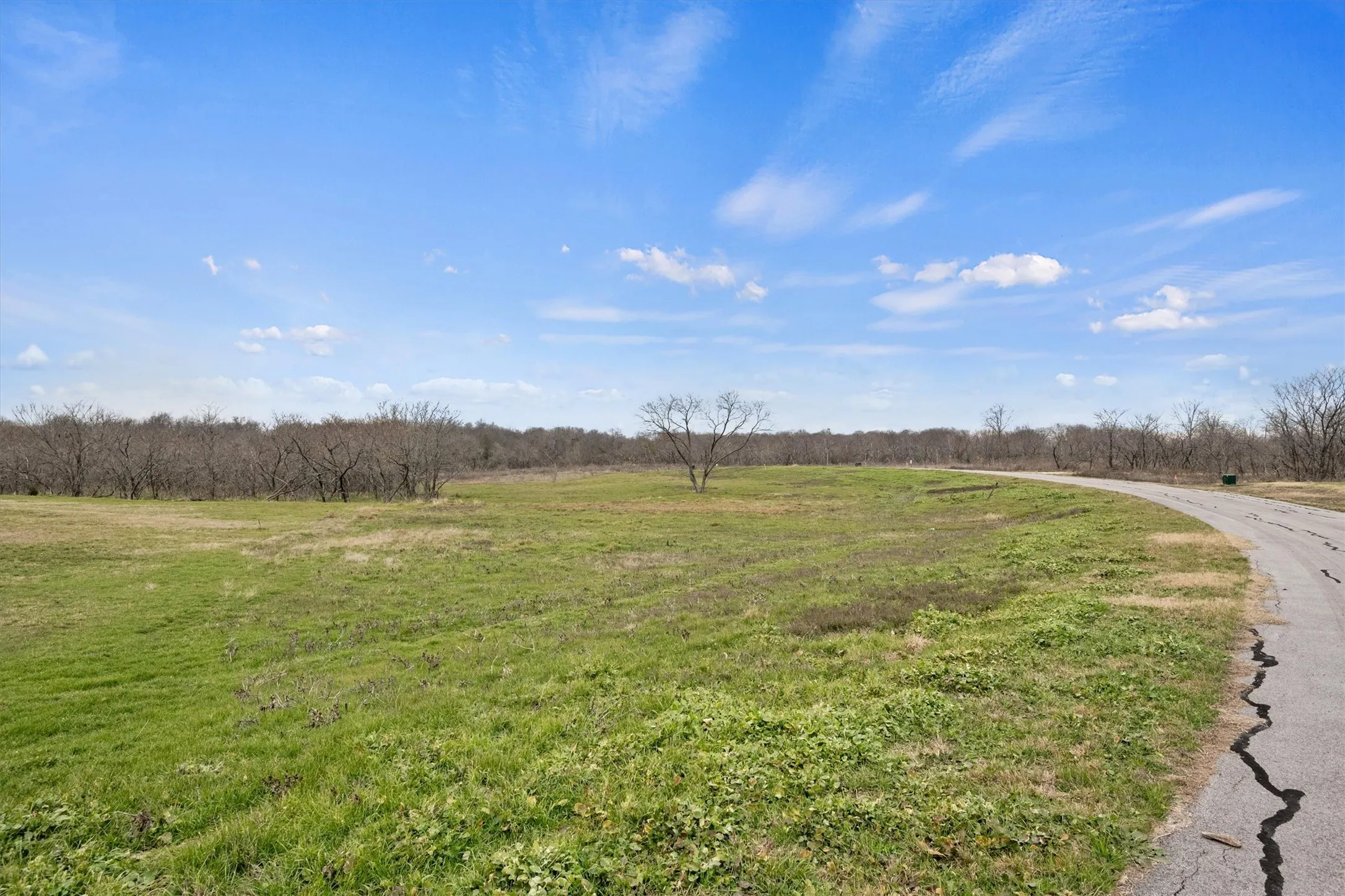Unimproved Land For Sale in Navarro County , Lt 70 Cedar Brook Lane, Kerens, Texas 75144, 0, 0, Garage spaces, 0 Sqft, built in 0, Price $92,000, mls#20819637, Real Estate Agent in Kerens, Homes For Sale in Navarro county, Homes For Sale in Kerens, Realtor in Kerens Texas, Real Estate Brokerage Independent Realty Texas, Luminita Cordes Realtor