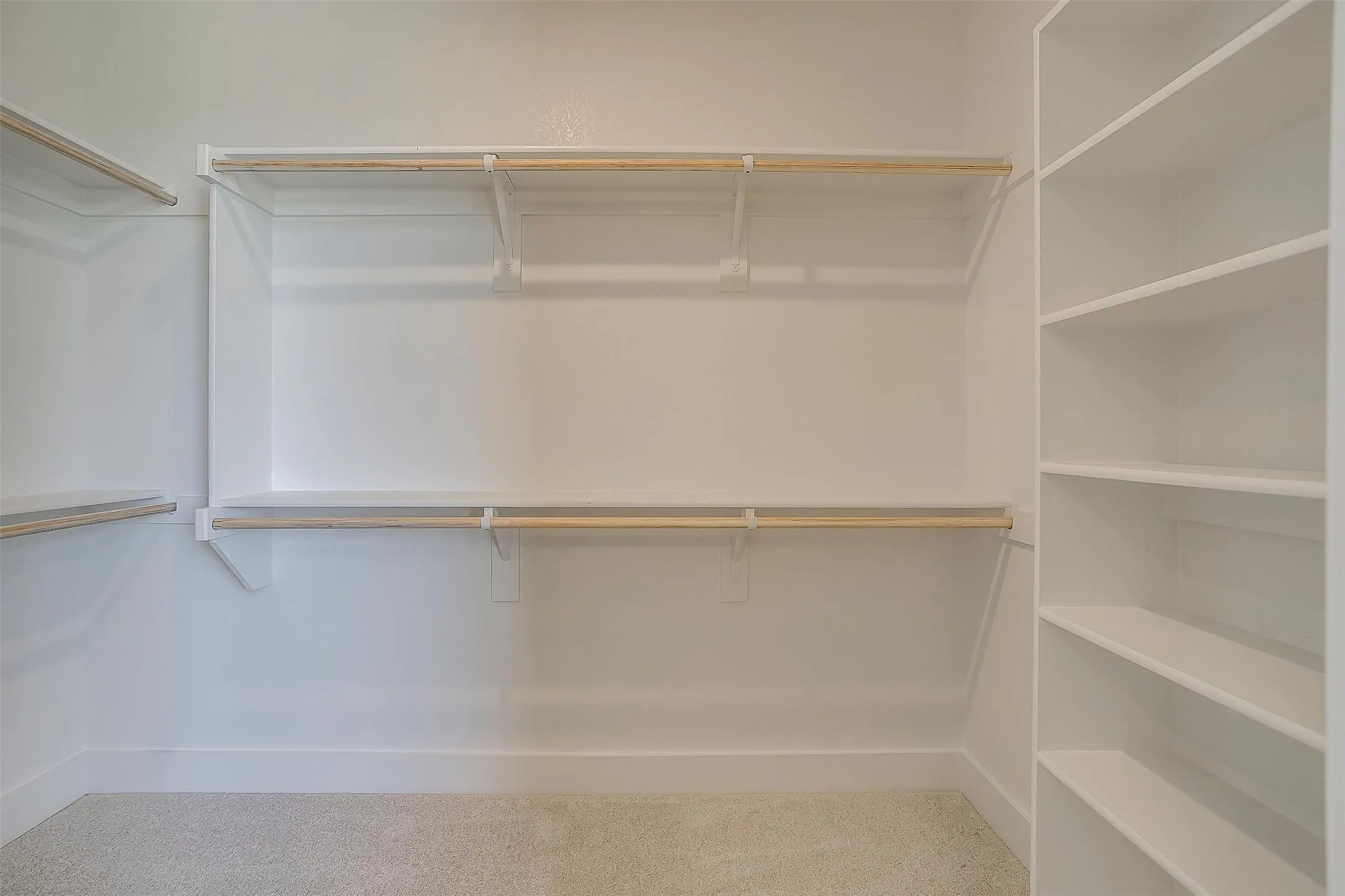 Walk in closet featuring carpet floors