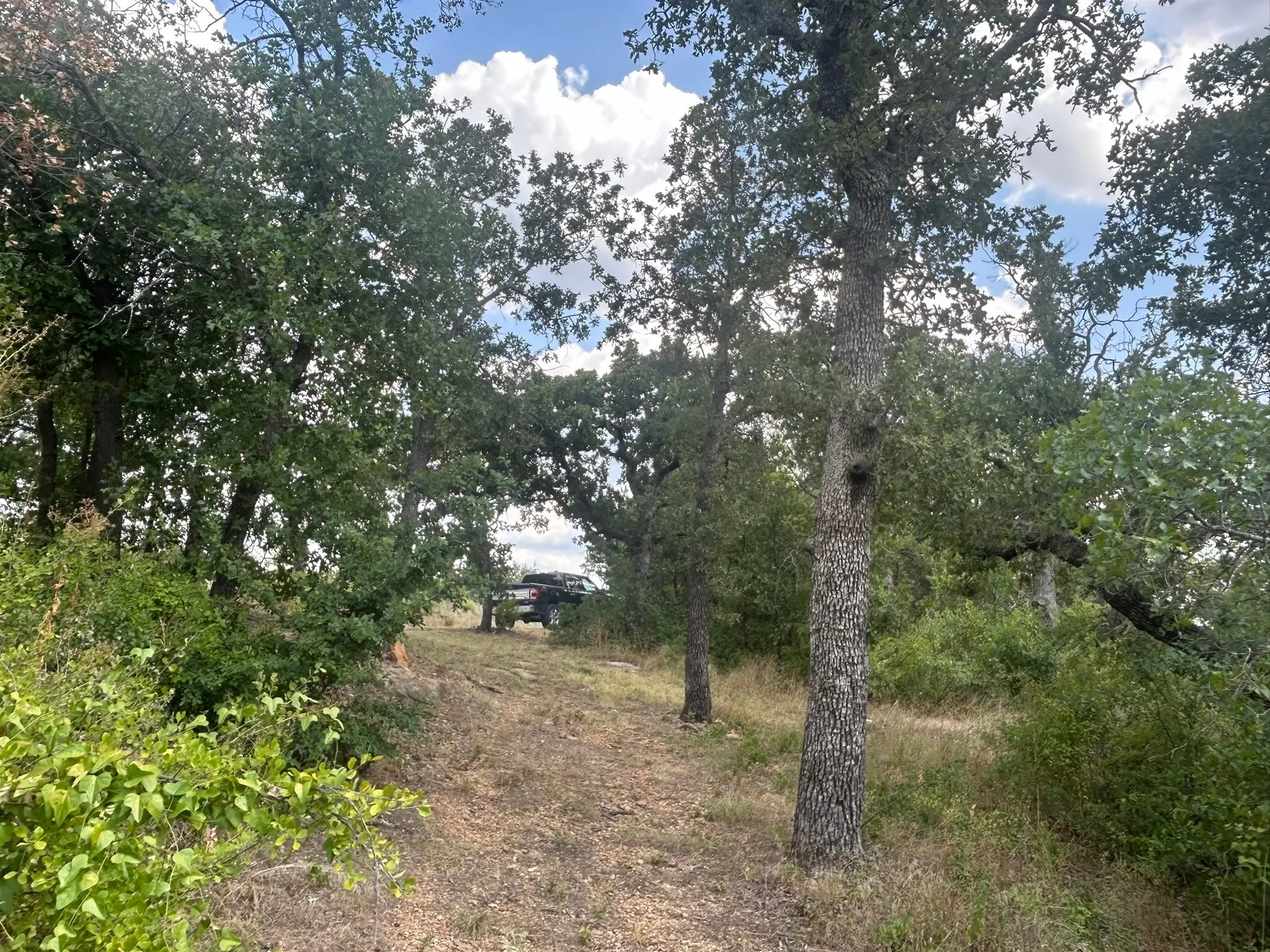 View of local wilderness