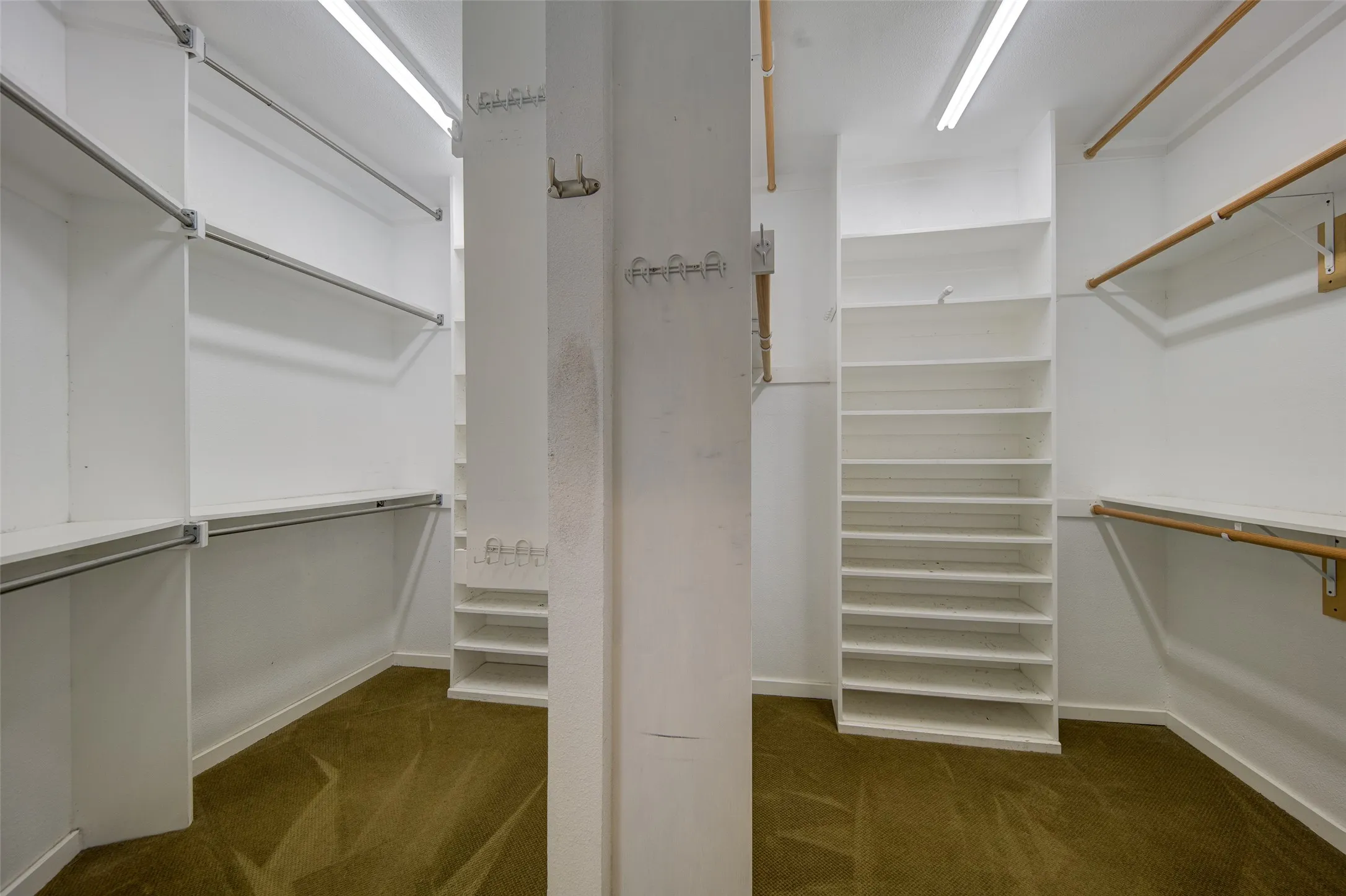 Spacious closet featuring carpet floors