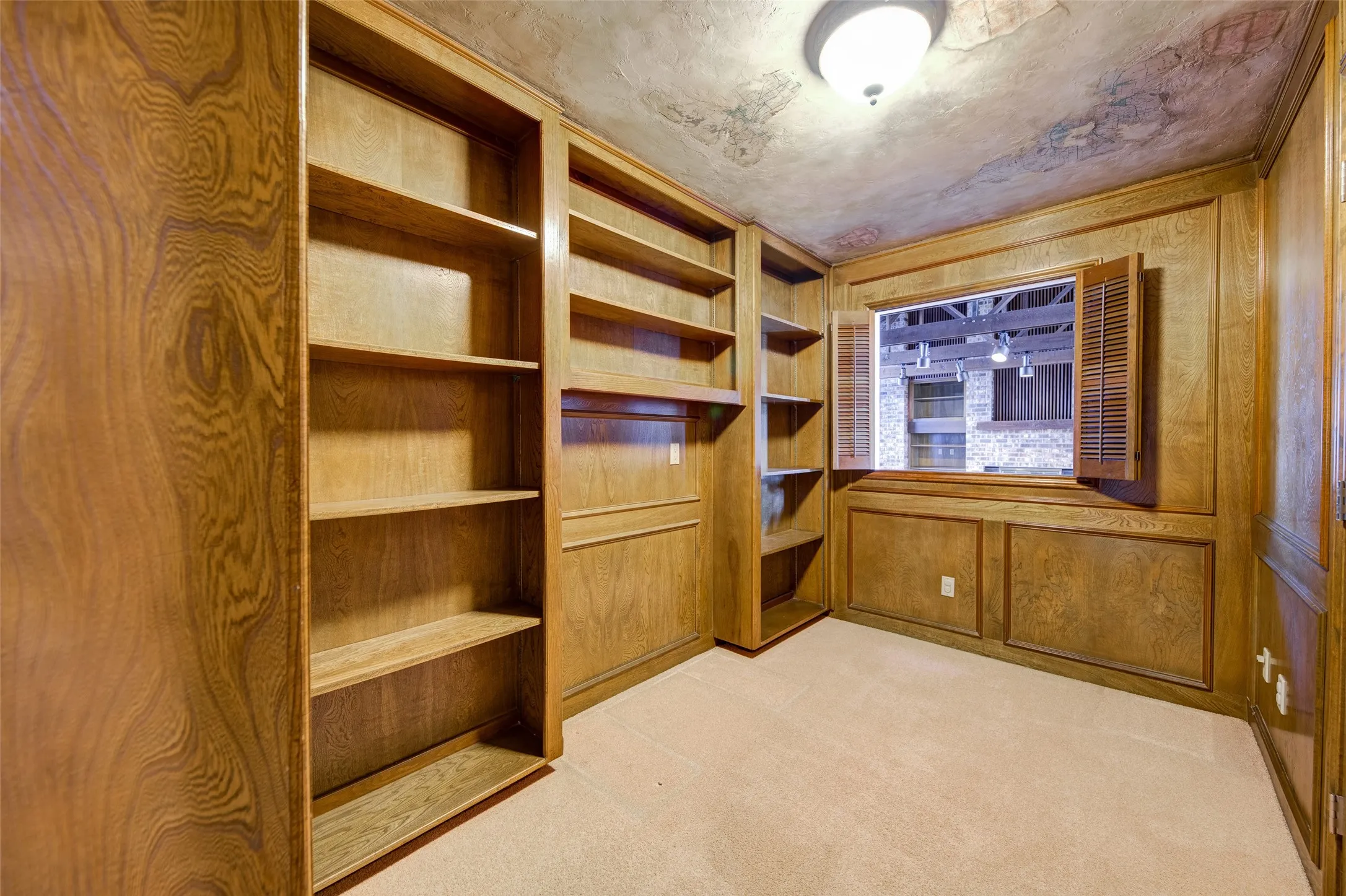 Spacious closet with light carpet
