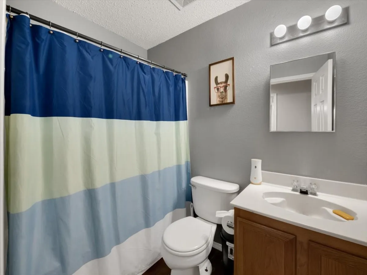 Bathroom with toilet, vanity, and a textured ceiling