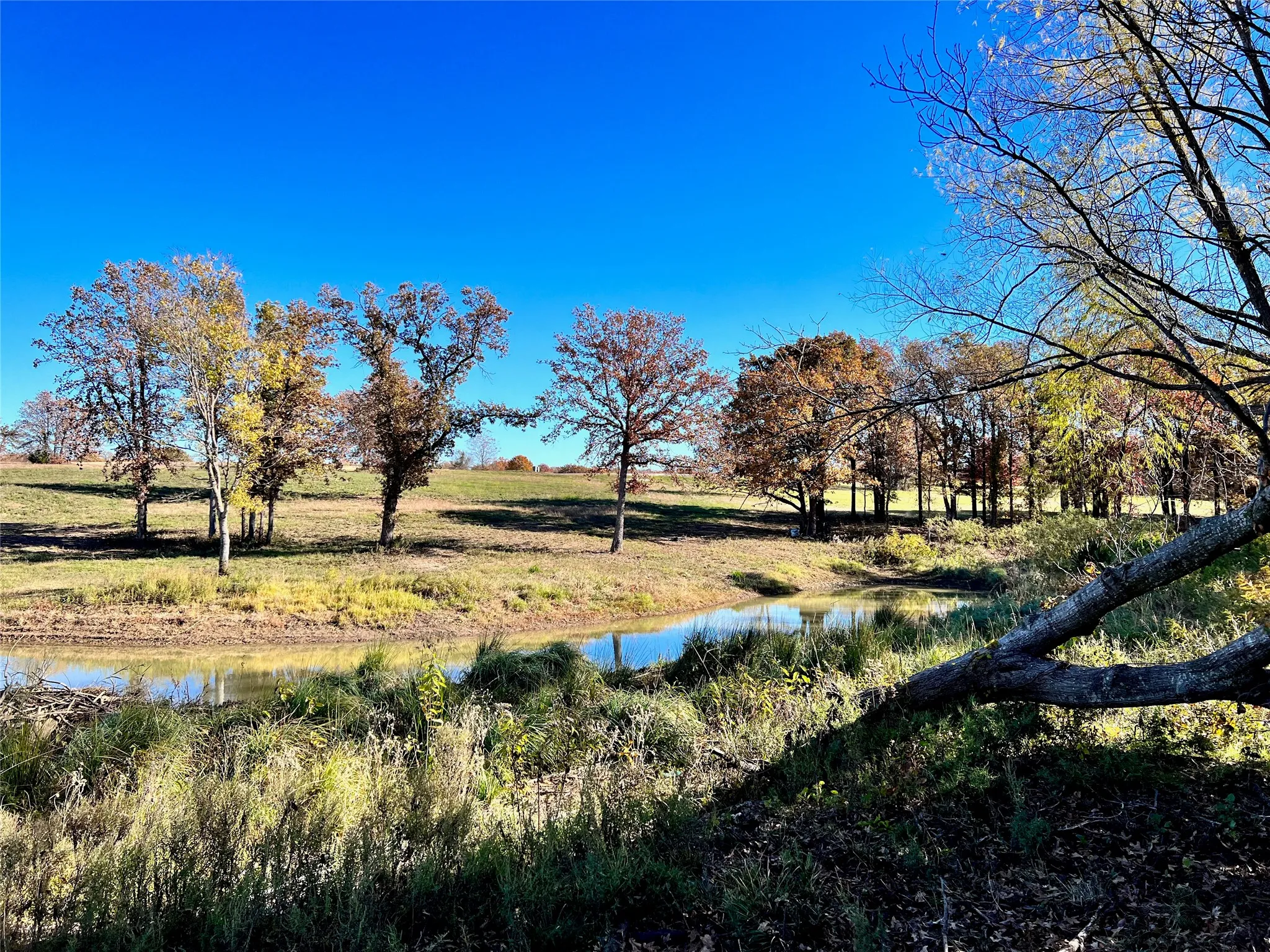 Natural creek feature adds character to the landscape.