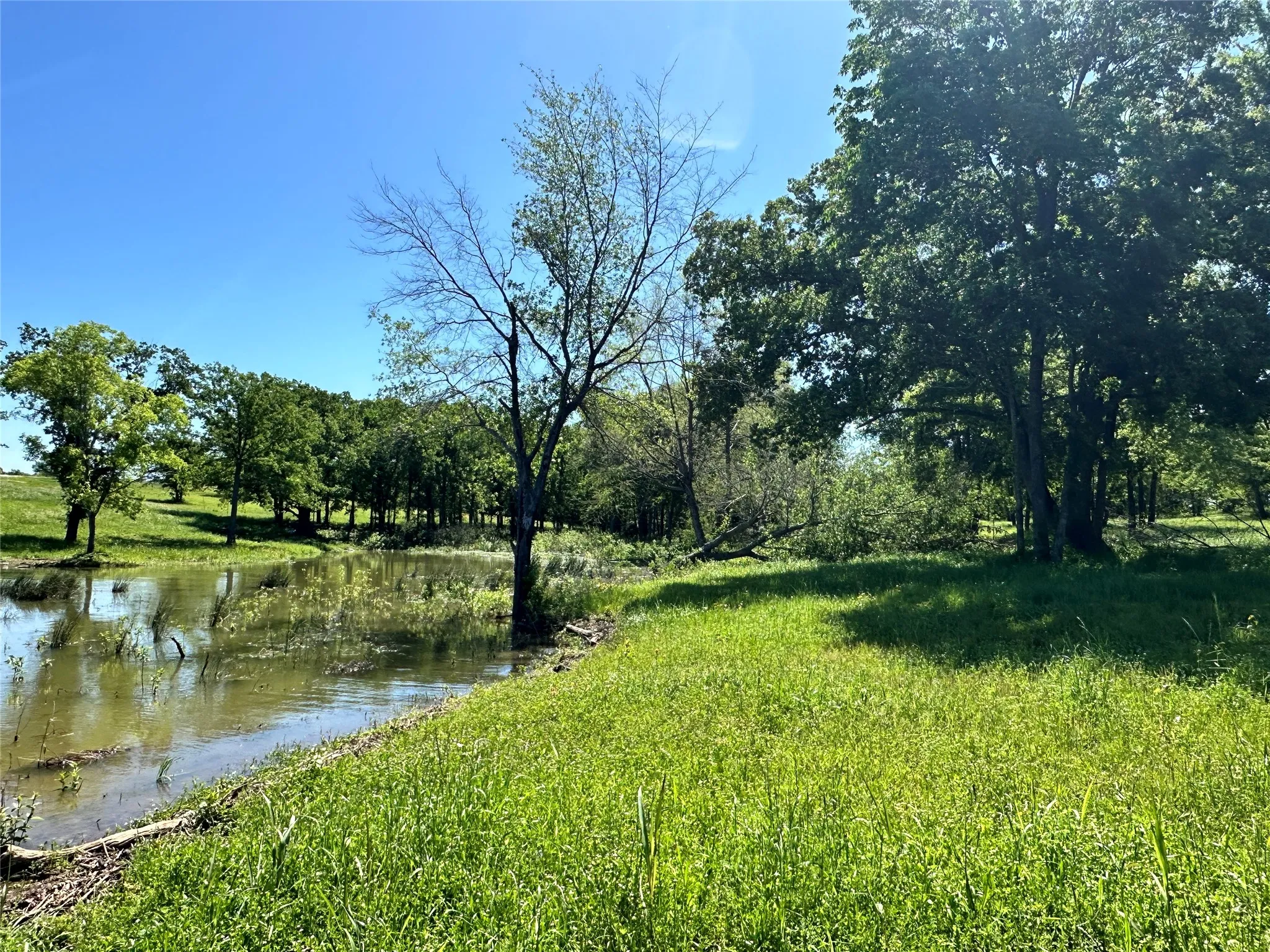 Grassy shoreline showcases the property's natural beauty.