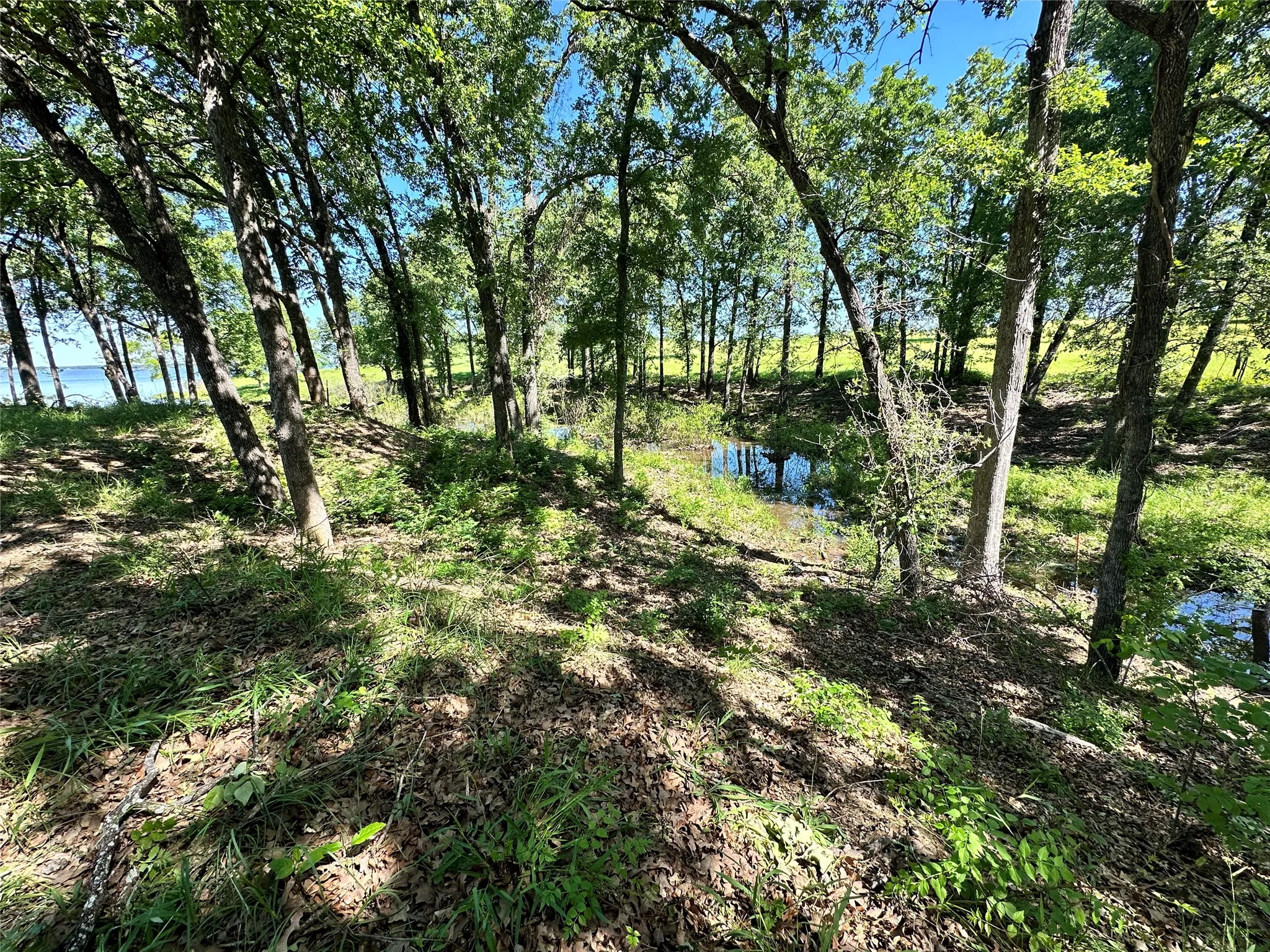 Mature hardwoods provide privacy throughout the property.