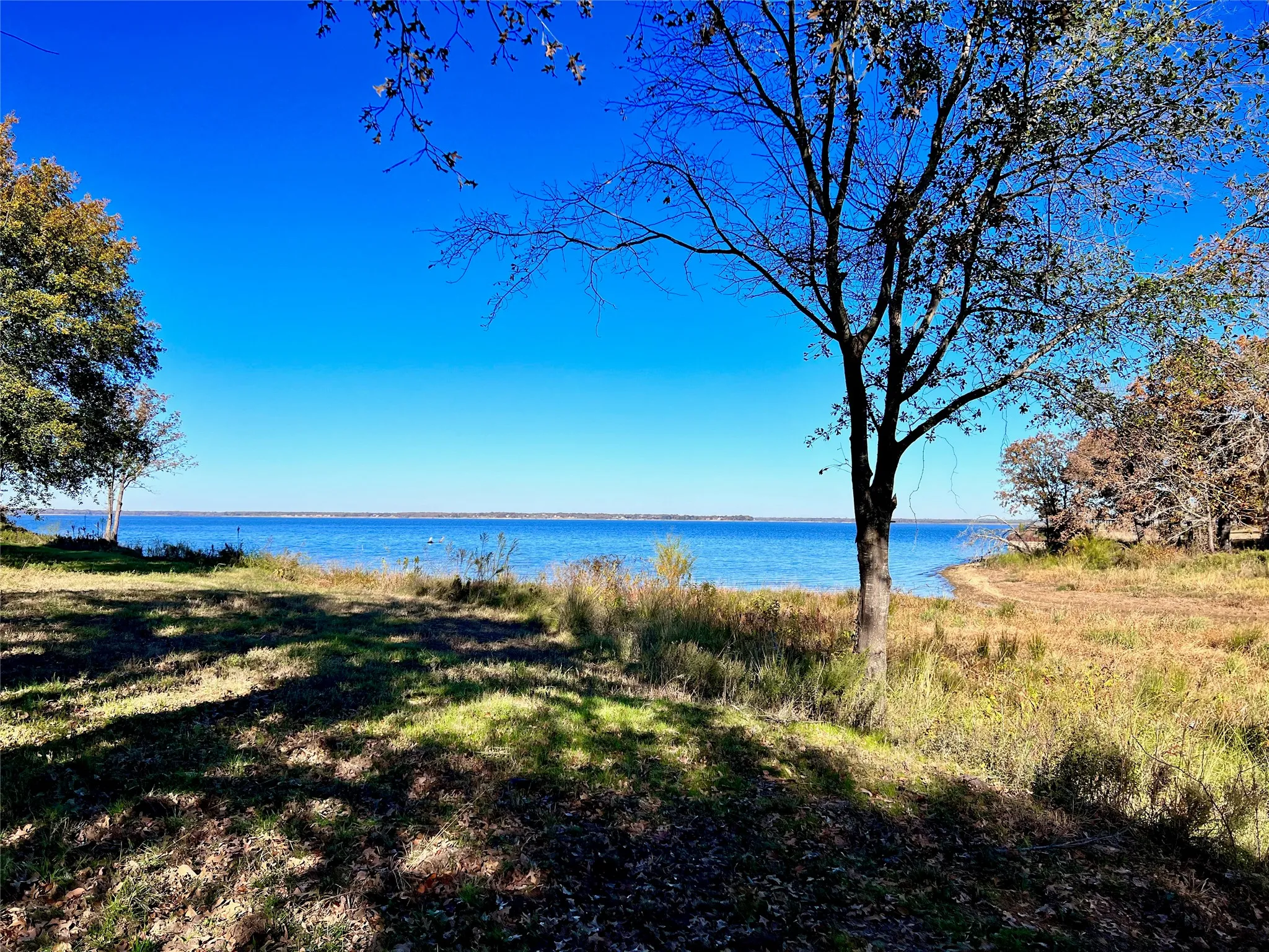 Shade trees overlook sparkling Richland Chambers Lake.