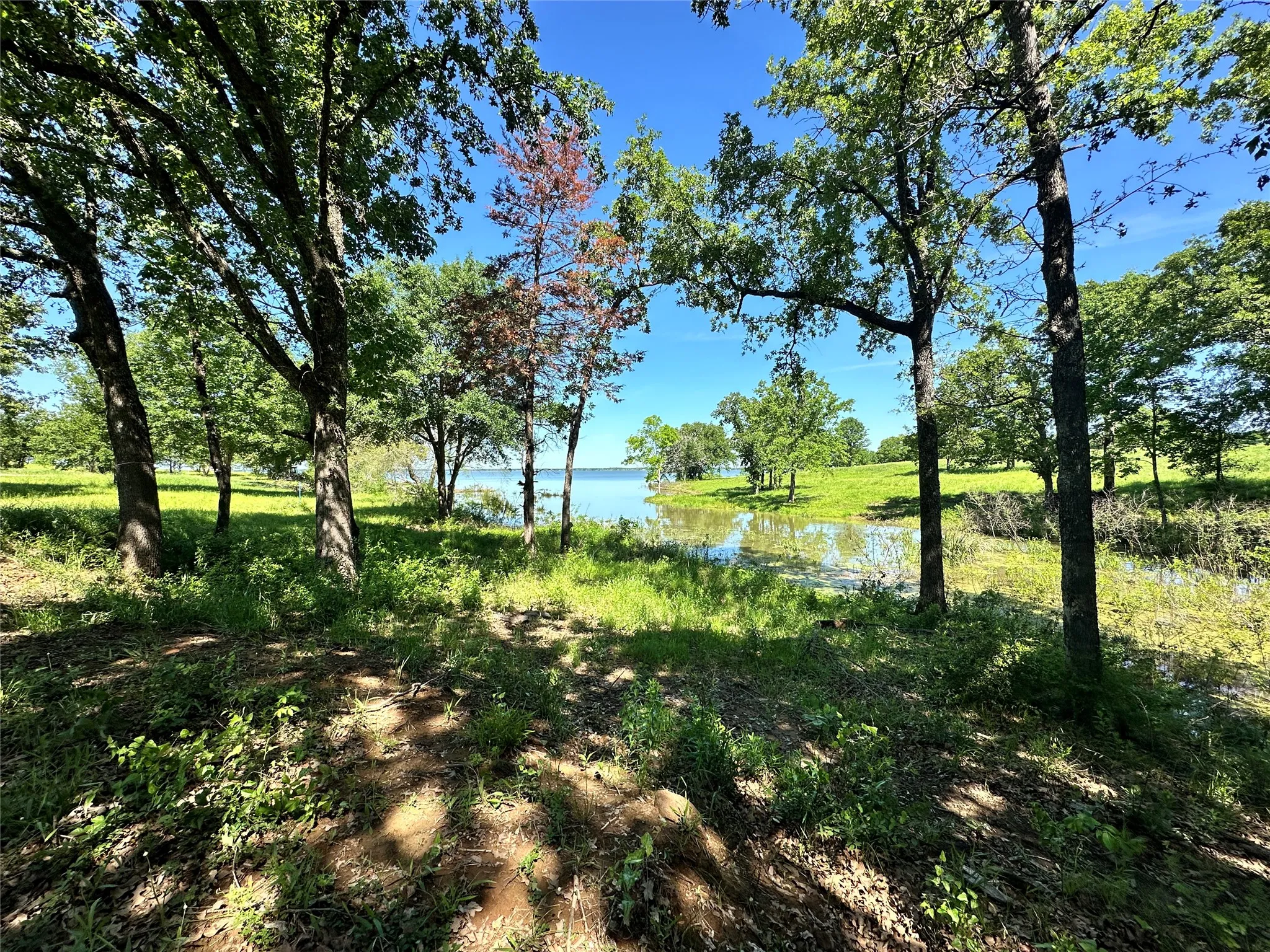 Beautiful lake views peek through mature trees.