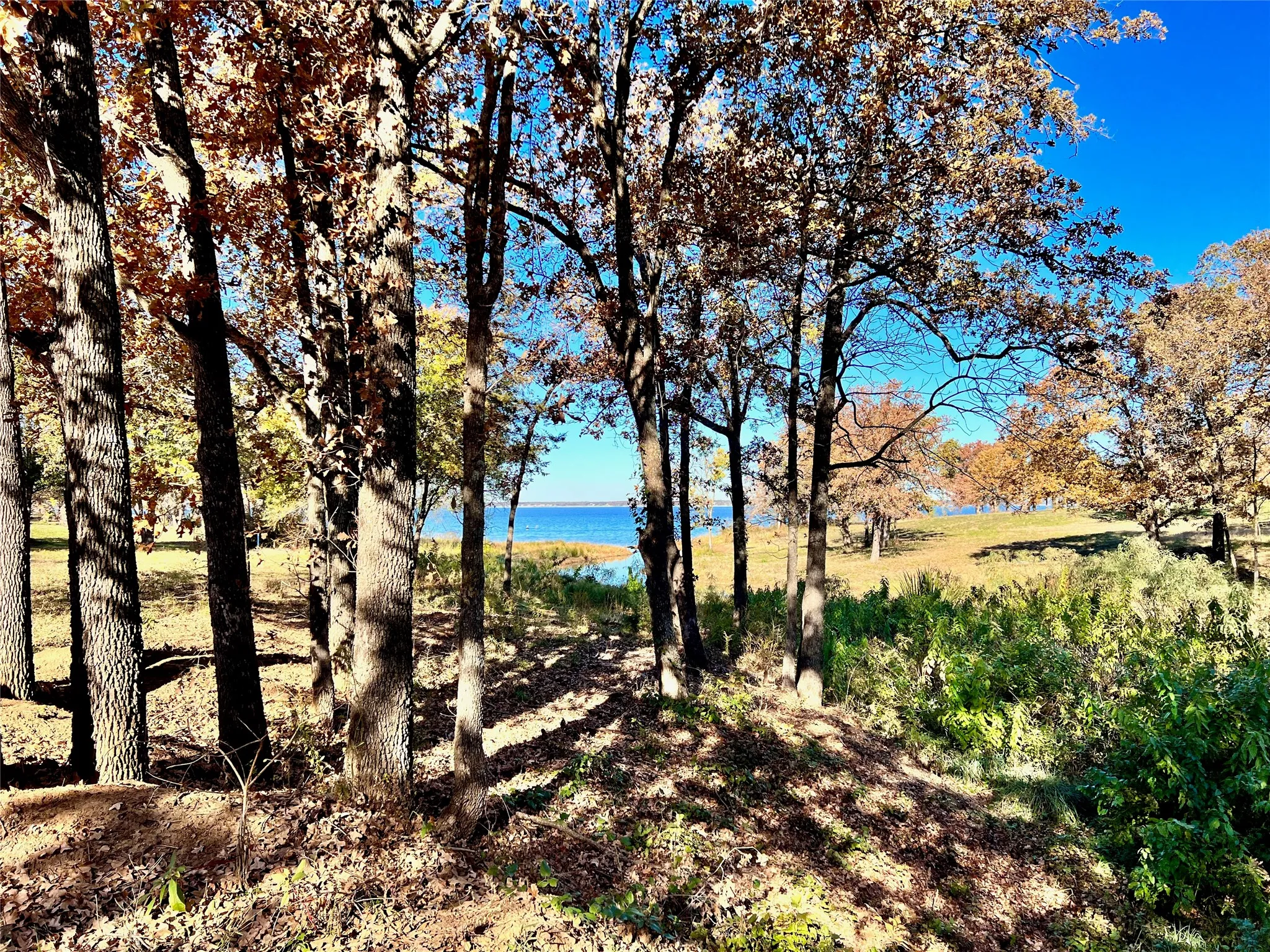 Mature trees create privacy near the waterfront.