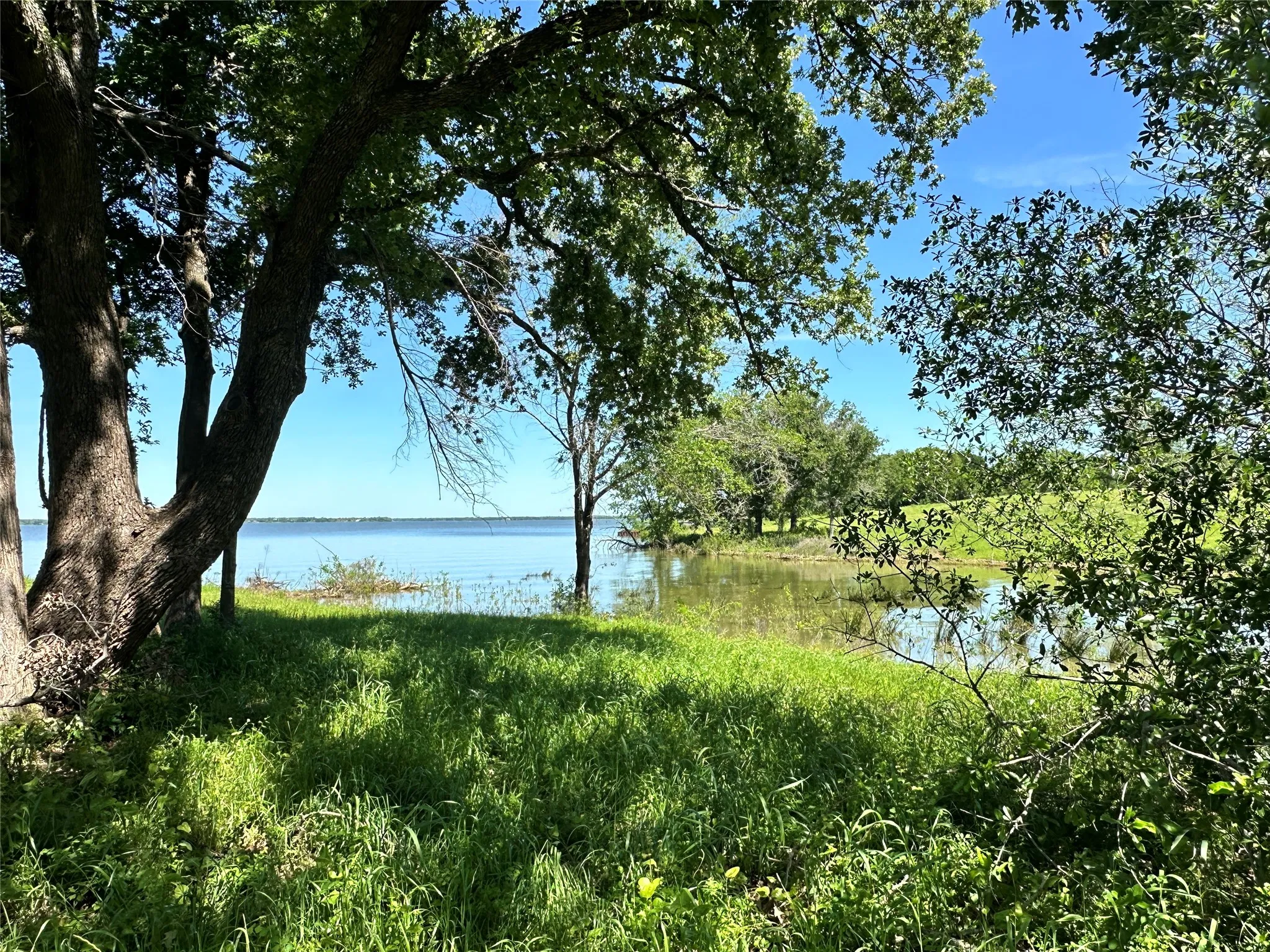 Lakeside shade trees create a relaxing setting.