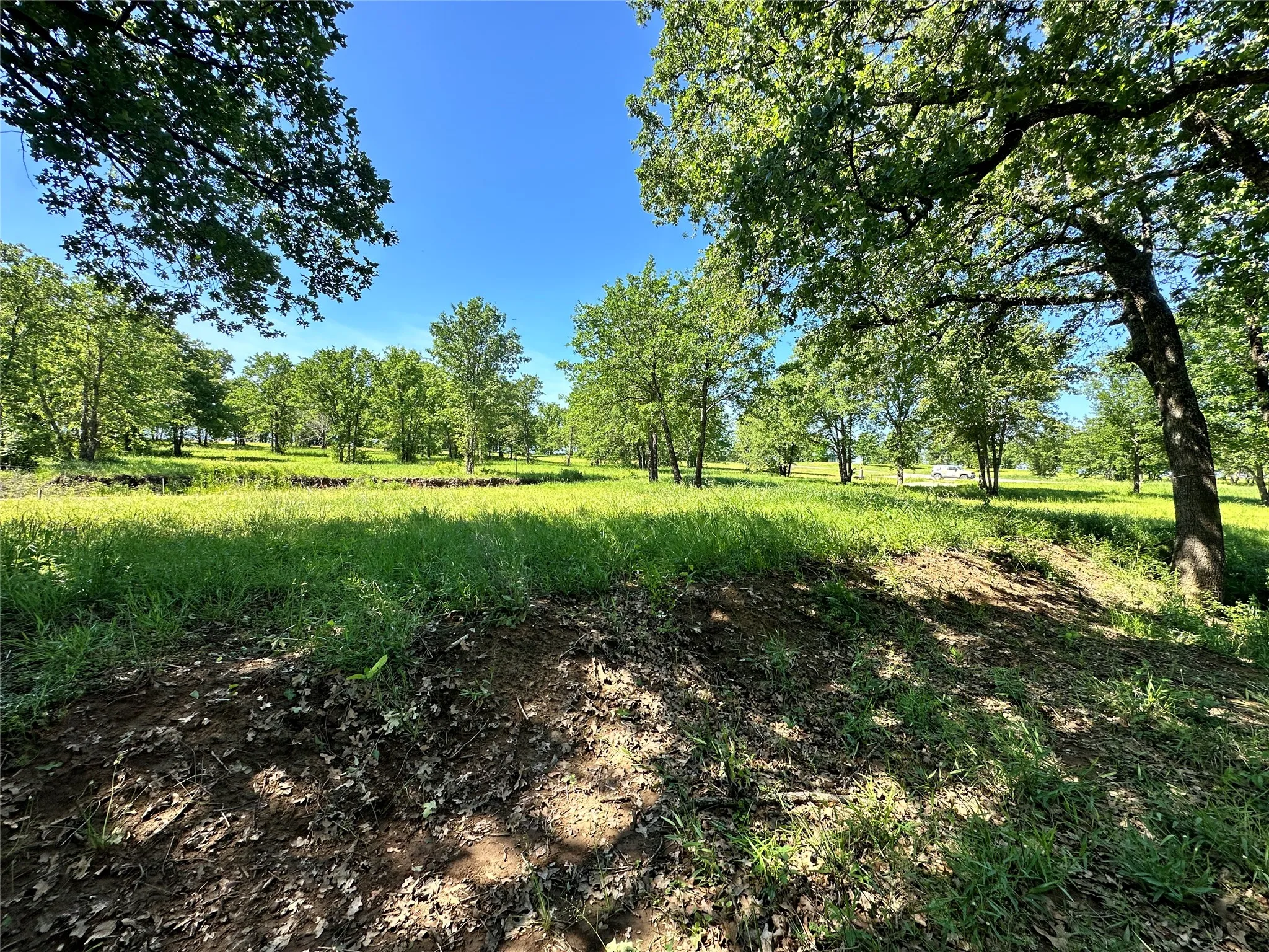 Spacious cleared section offers flexible building options.
