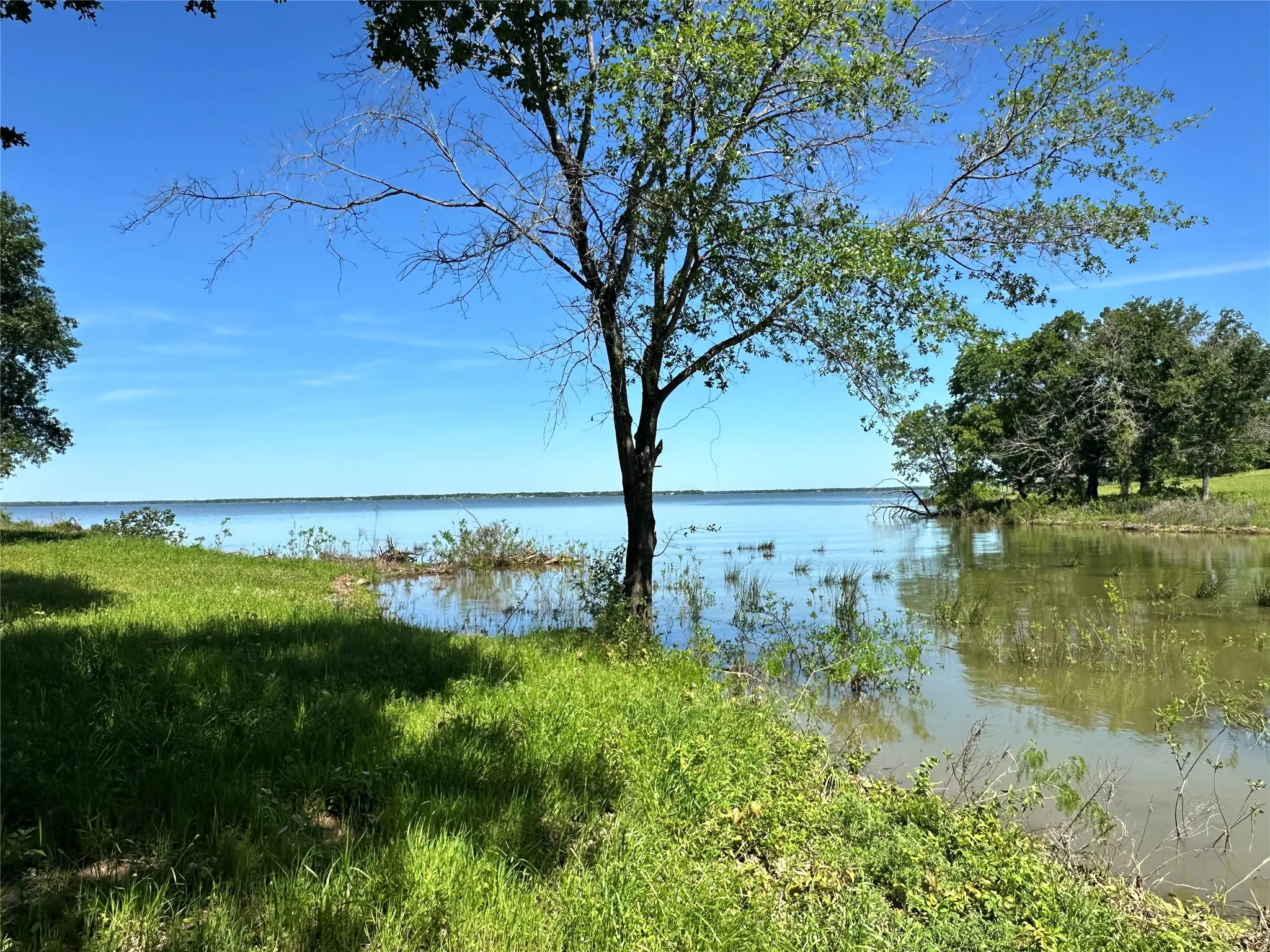 Scenic shoreline with mature trees overlooking the lake.