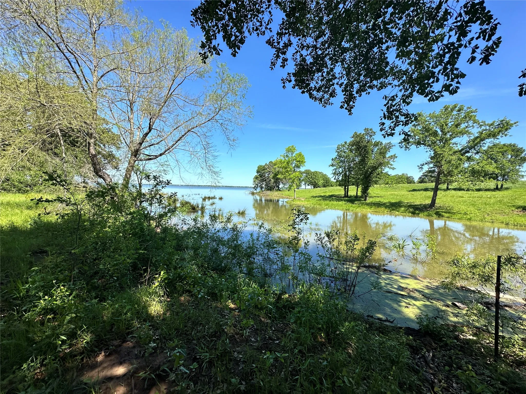 Natural shoreline and cove enhance the property's appeal.