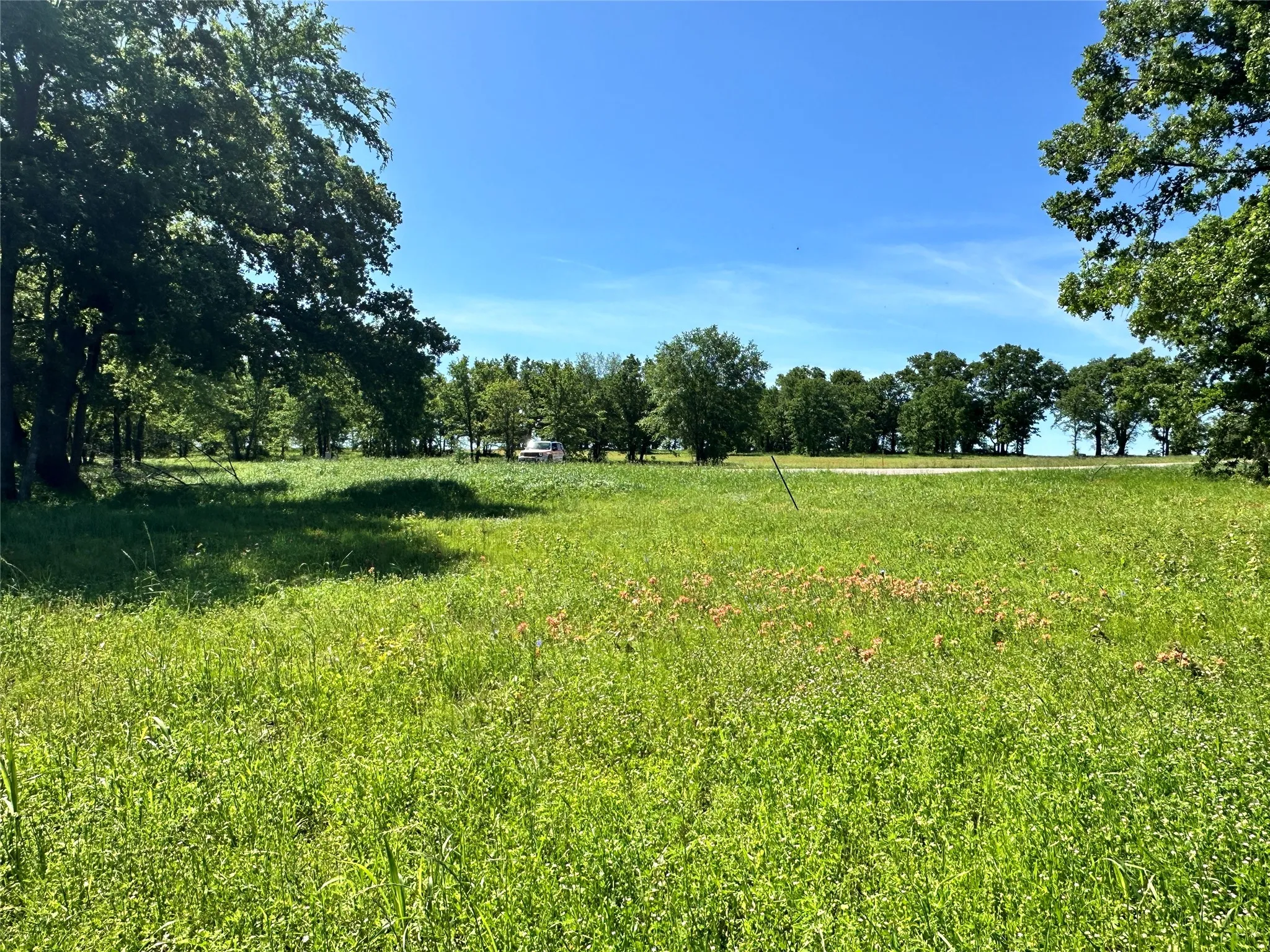 Expansive grassy homesite surrounded by mature trees.
