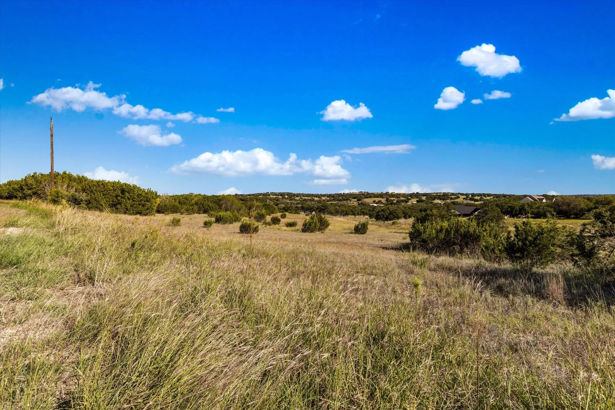 View of local wilderness with a rural view