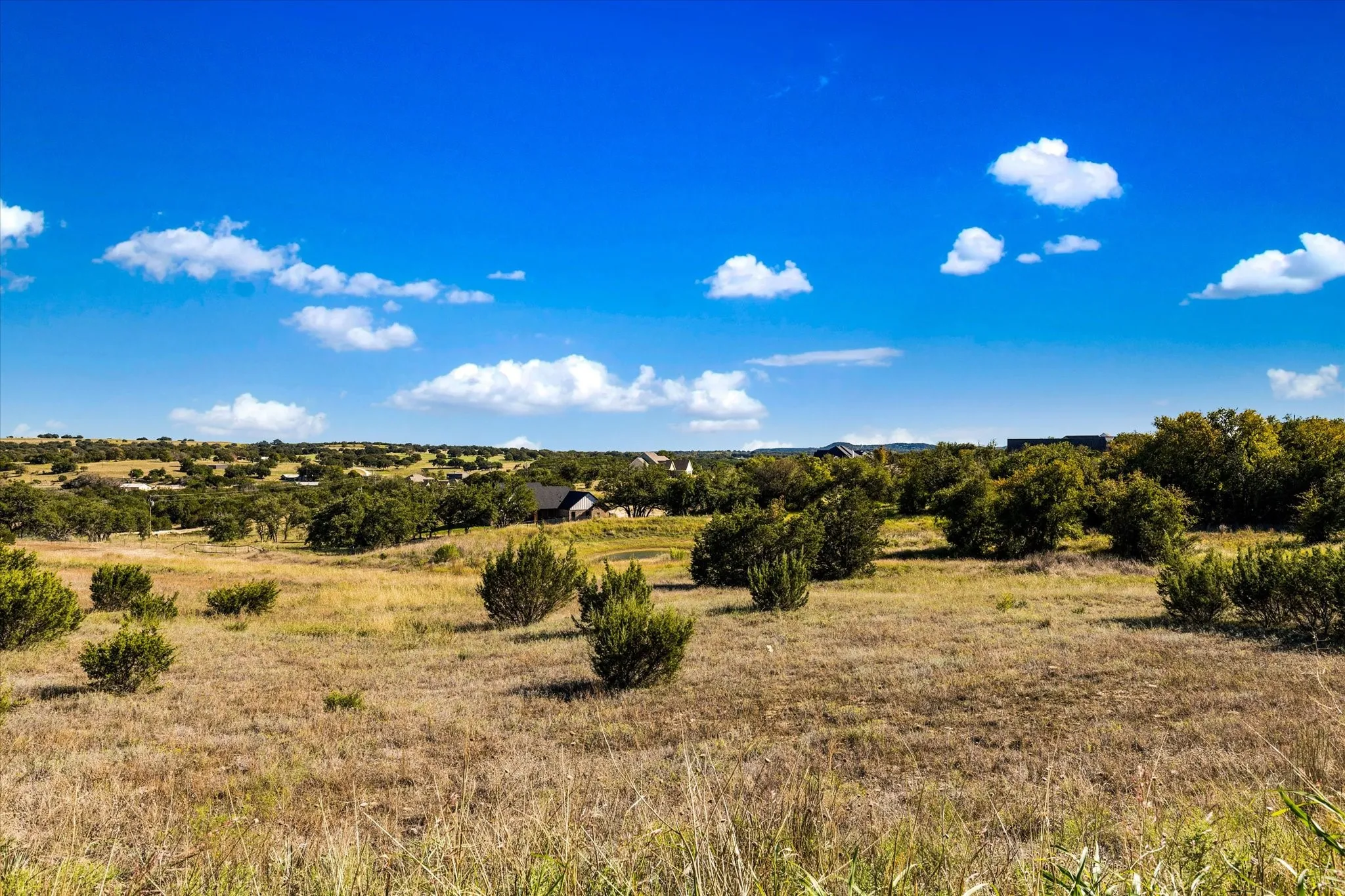 View of local wilderness with a rural view