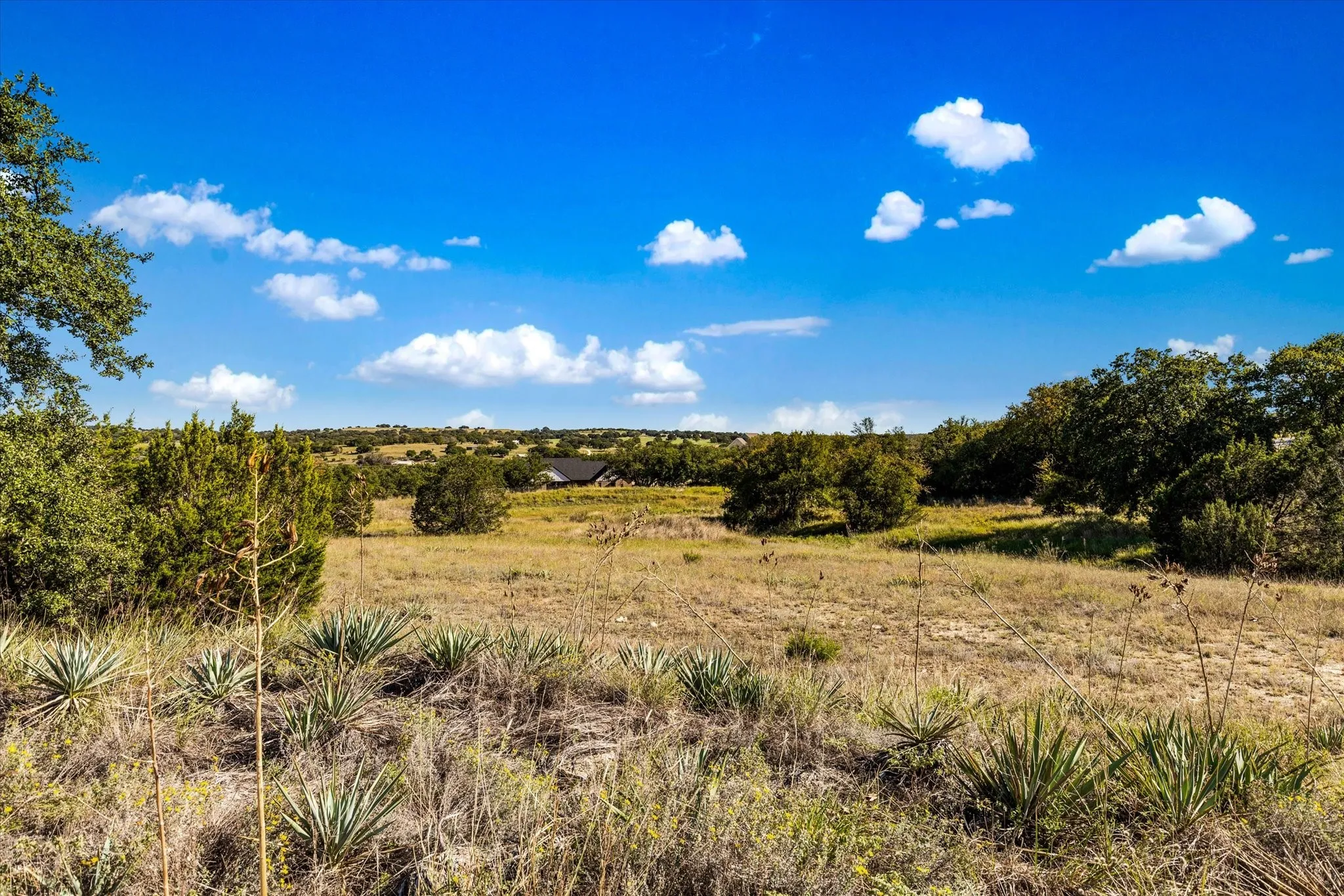 View of local wilderness featuring a rural view