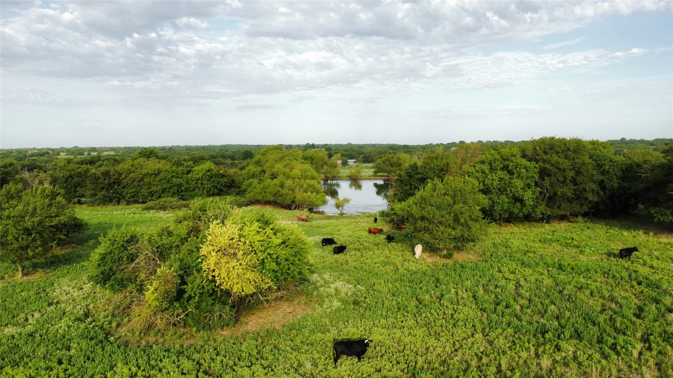 Unimproved Land For Sale in Grayson County , 4800 N Fm-1417, Sherman, Texas 75092, 0, 0, Garage spaces, 0 Sqft, built in 0, Price $1,950,000, mls#20824059, Real Estate Agent in Sherman, Homes For Sale in Grayson county, Homes For Sale in Sherman, Realtor in Sherman Texas, Real Estate Brokerage Independent Realty Texas, Luminita Cordes Realtor