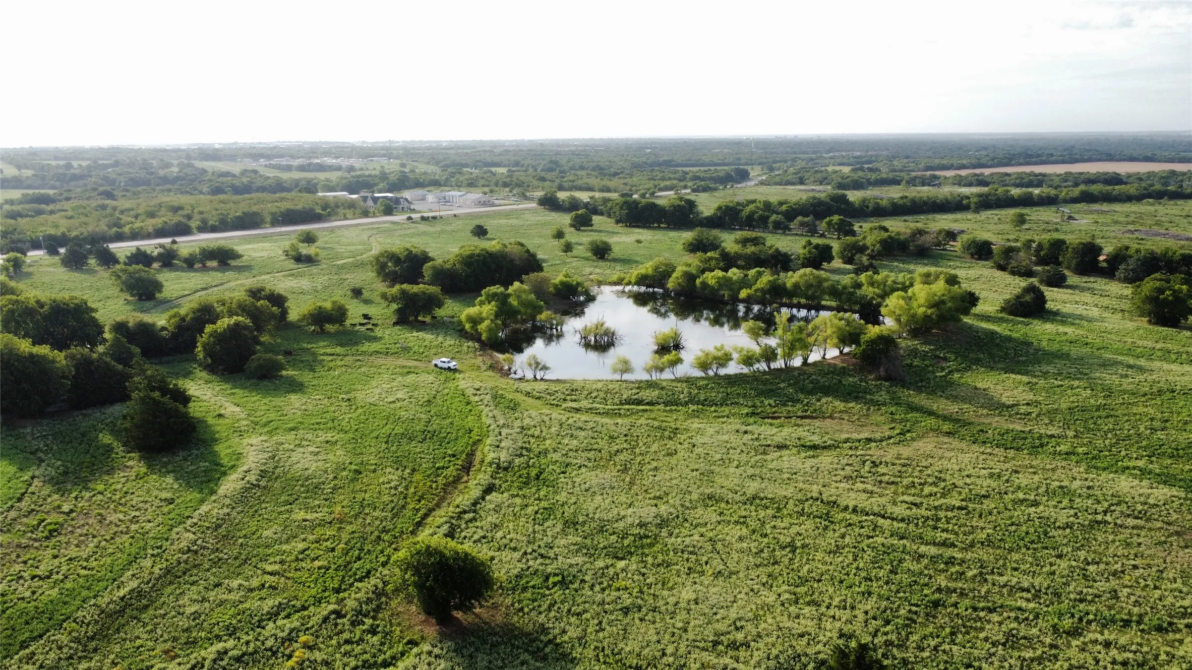 Unimproved Land For Sale in Grayson County , 4800 N Fm-1417, Sherman, Texas 75092, 0, 0, Garage spaces, 0 Sqft, built in 0, Price $1,950,000, mls#20824059, Real Estate Agent in Sherman, Homes For Sale in Grayson county, Homes For Sale in Sherman, Realtor in Sherman Texas, Real Estate Brokerage Independent Realty Texas, Luminita Cordes Realtor
