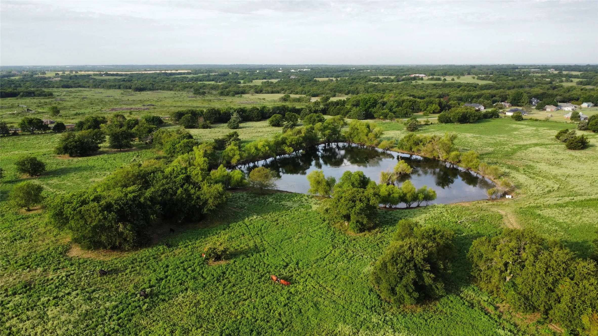 Unimproved Land For Sale in Grayson County , 4800 N Fm-1417, Sherman, Texas 75092, 0, 0, Garage spaces, 0 Sqft, built in 0, Price $1,950,000, mls#20824059, Real Estate Agent in Sherman, Homes For Sale in Grayson county, Homes For Sale in Sherman, Realtor in Sherman Texas, Real Estate Brokerage Independent Realty Texas, Luminita Cordes Realtor