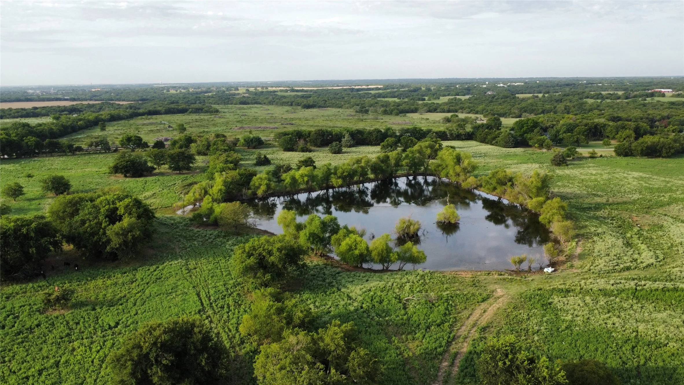 Unimproved Land For Sale in Grayson County , 4800 N Fm-1417, Sherman, Texas 75092, 0, 0, Garage spaces, 0 Sqft, built in 0, Price $1,950,000, mls#20824059, Real Estate Agent in Sherman, Homes For Sale in Grayson county, Homes For Sale in Sherman, Realtor in Sherman Texas, Real Estate Brokerage Independent Realty Texas, Luminita Cordes Realtor