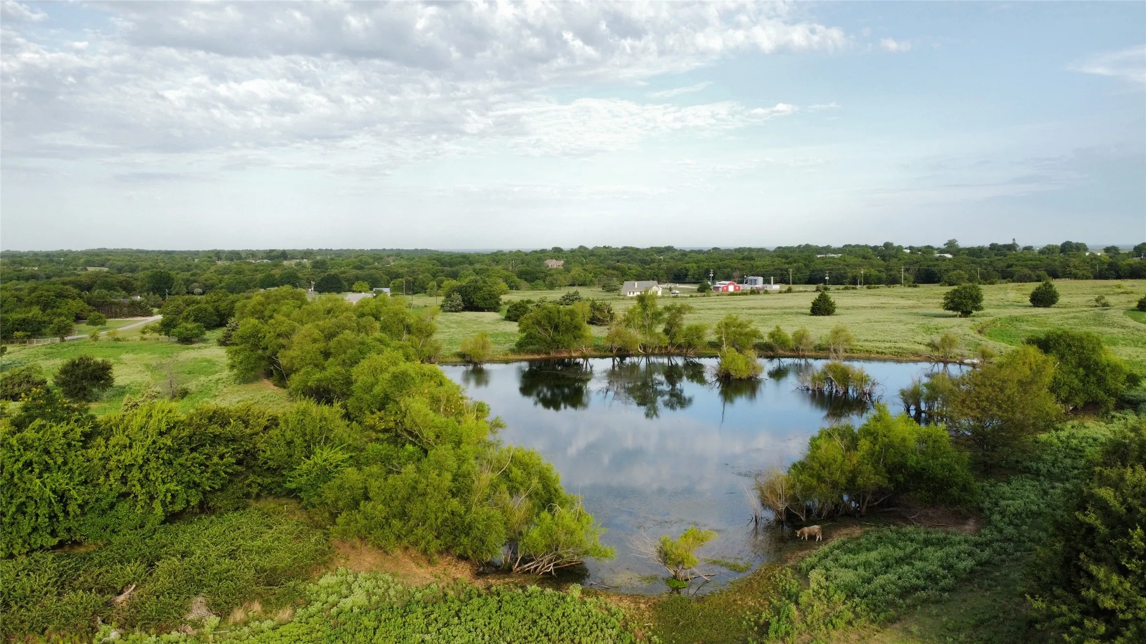 Unimproved Land For Sale in Grayson County , 4800 N Fm-1417, Sherman, Texas 75092, 0, 0, Garage spaces, 0 Sqft, built in 0, Price $1,950,000, mls#20824059, Real Estate Agent in Sherman, Homes For Sale in Grayson county, Homes For Sale in Sherman, Realtor in Sherman Texas, Real Estate Brokerage Independent Realty Texas, Luminita Cordes Realtor