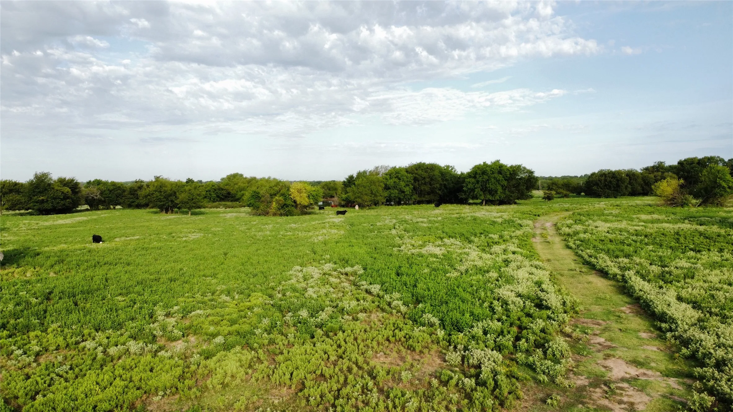 Unimproved Land For Sale in Grayson County , 4800 N Fm-1417, Sherman, Texas 75092, 0, 0, Garage spaces, 0 Sqft, built in 0, Price $1,950,000, mls#20824059, Real Estate Agent in Sherman, Homes For Sale in Grayson county, Homes For Sale in Sherman, Realtor in Sherman Texas, Real Estate Brokerage Independent Realty Texas, Luminita Cordes Realtor